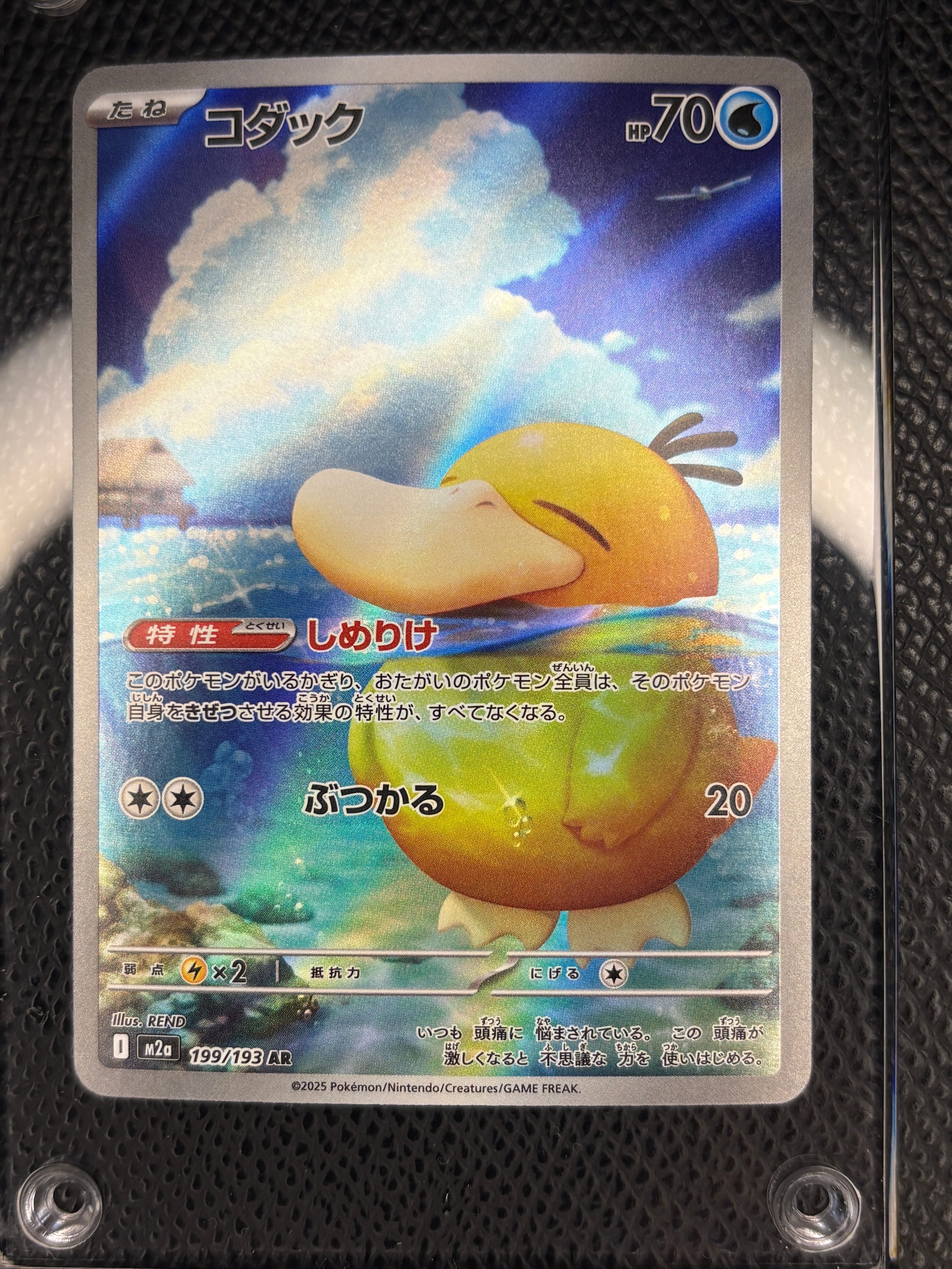 コダック AR [M2a 199/193](ハイクラスパック「MEGAドリームex」)