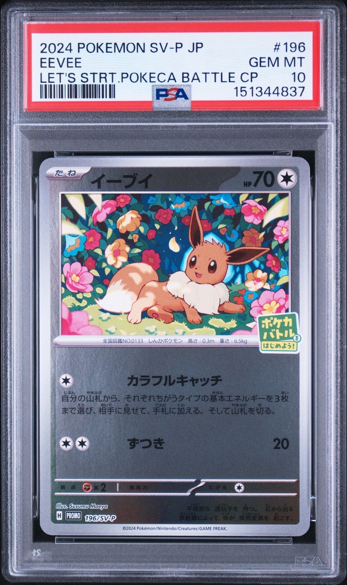 イーブイ：ポケカバトルをはじめよう！ PROMO SV-Pプロモカード 196… イーブイ P [SV-P-SM 196](プロモカードパック「ポケカバトルをはじめ