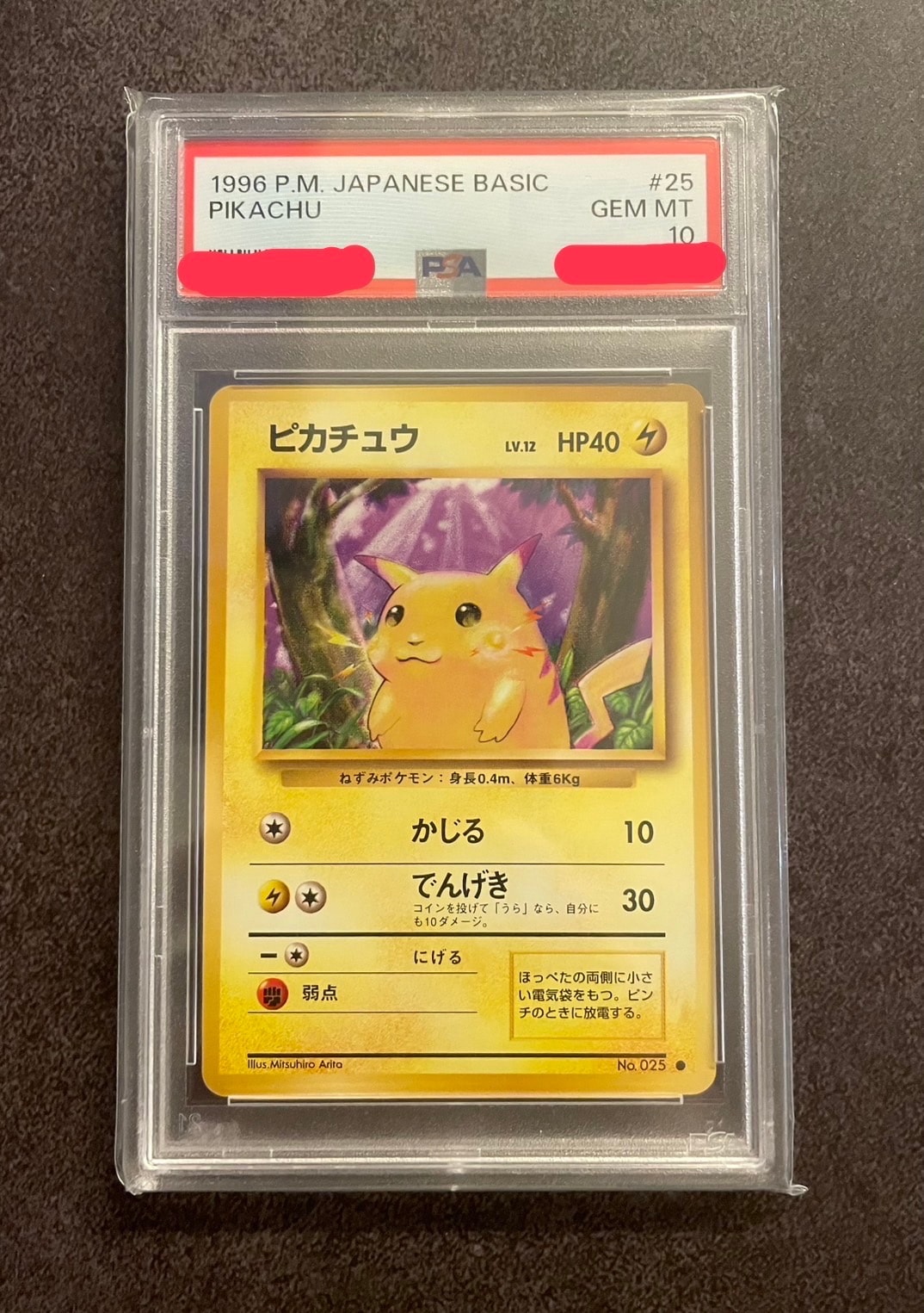 ピカチュウ ● : 旧裏 [PMCG1-2](拡張パック「ポケットモンスター カードゲーム」再販)