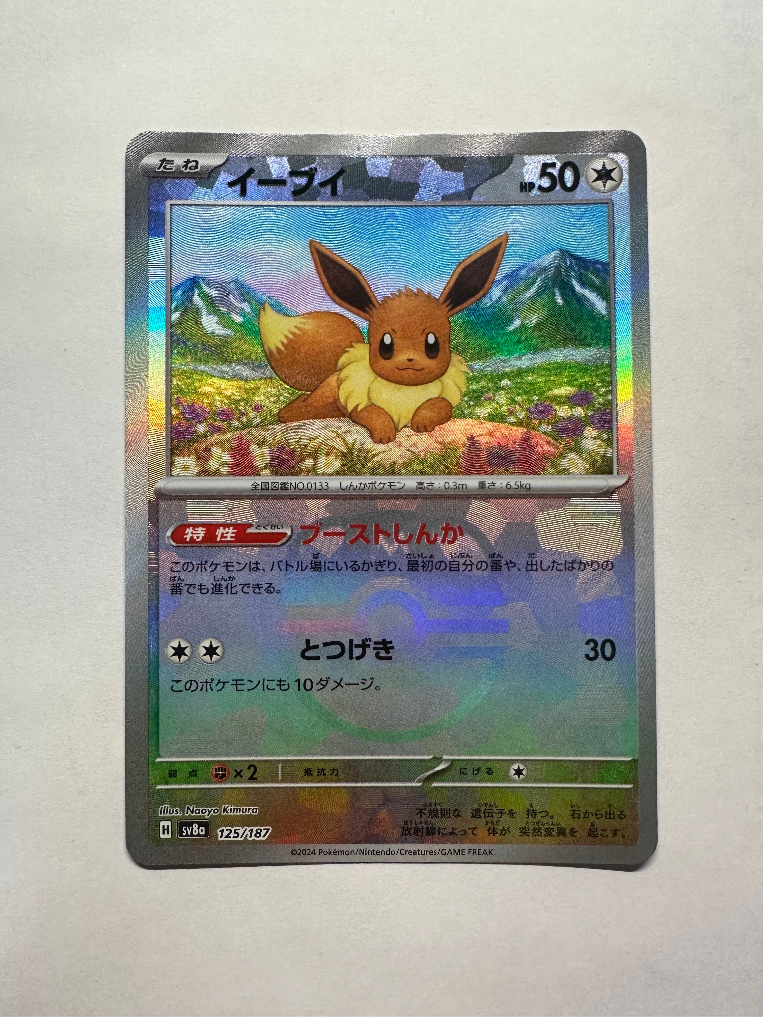 最安値！イーブイ マスターボールミラー PSA10 イーブイ 2026年最新 