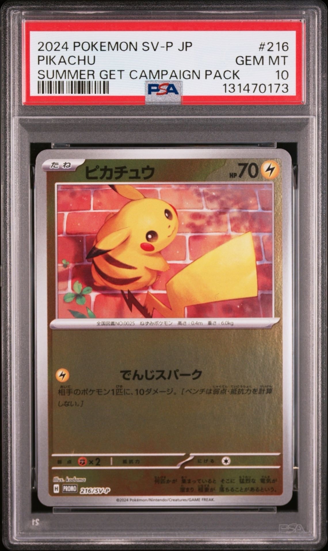 ピカチュウ P [SV-P 216](プロモカードパック「ポケカの夏がキタ!プロモカードGetキャンペーン!」)