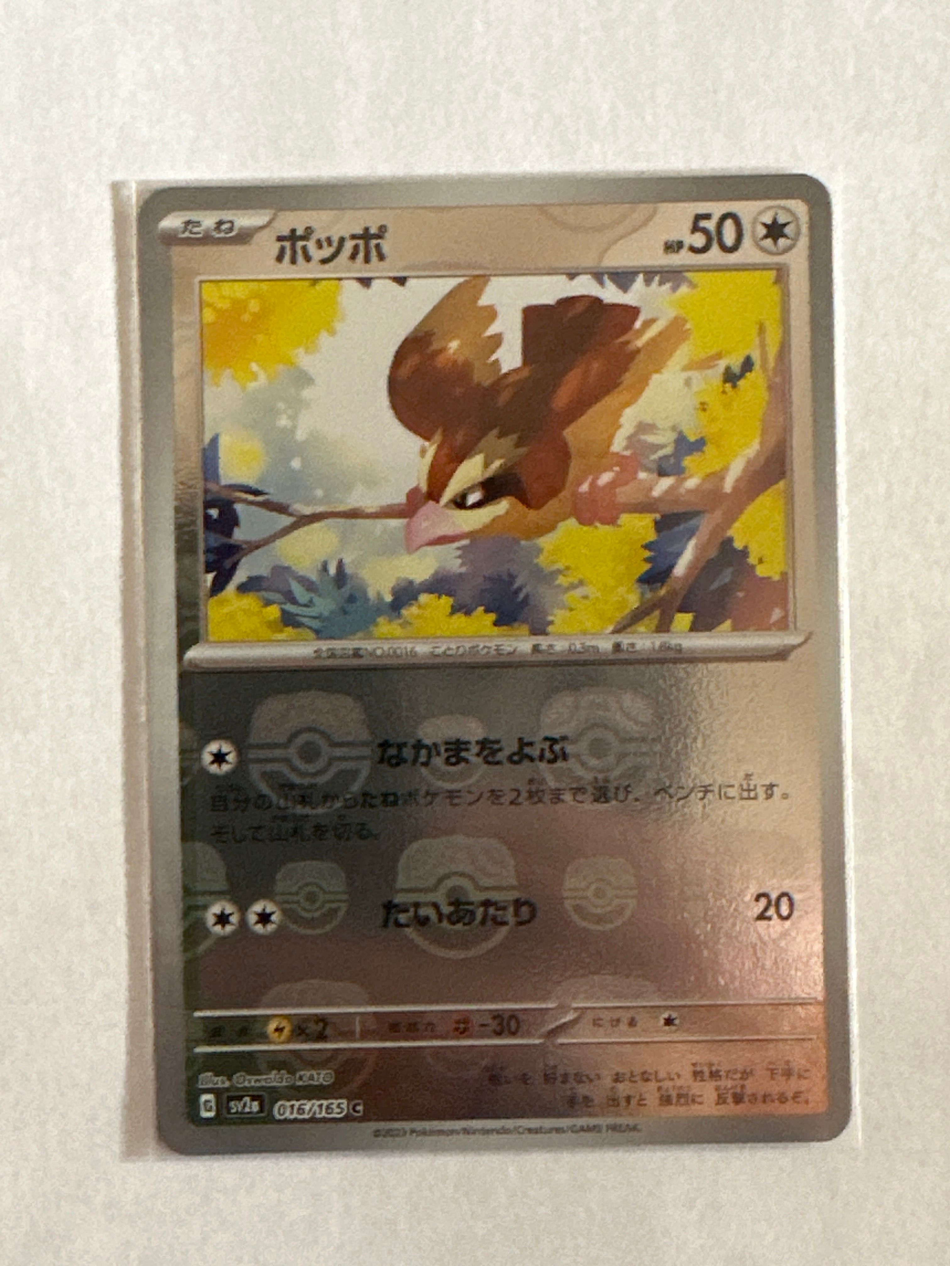 ポッポ C: マスターボールミラー[SV2a 016/165](強化拡張パック「ポケモンカード151」)