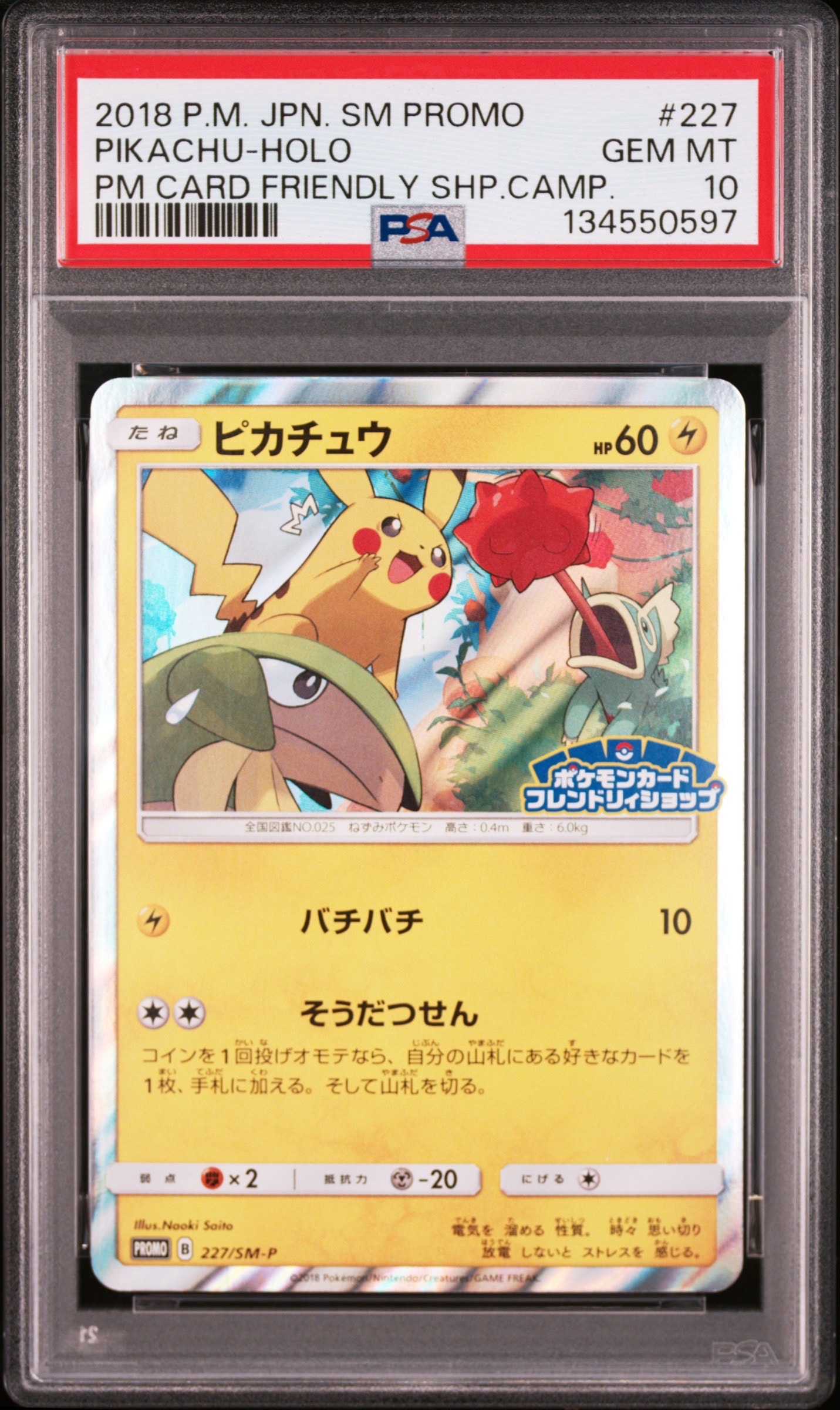 ピカチュウ P [SM-P 227](プロモーションカード「ポケモンカードフレンドリィショップ限定キャンペーン」)