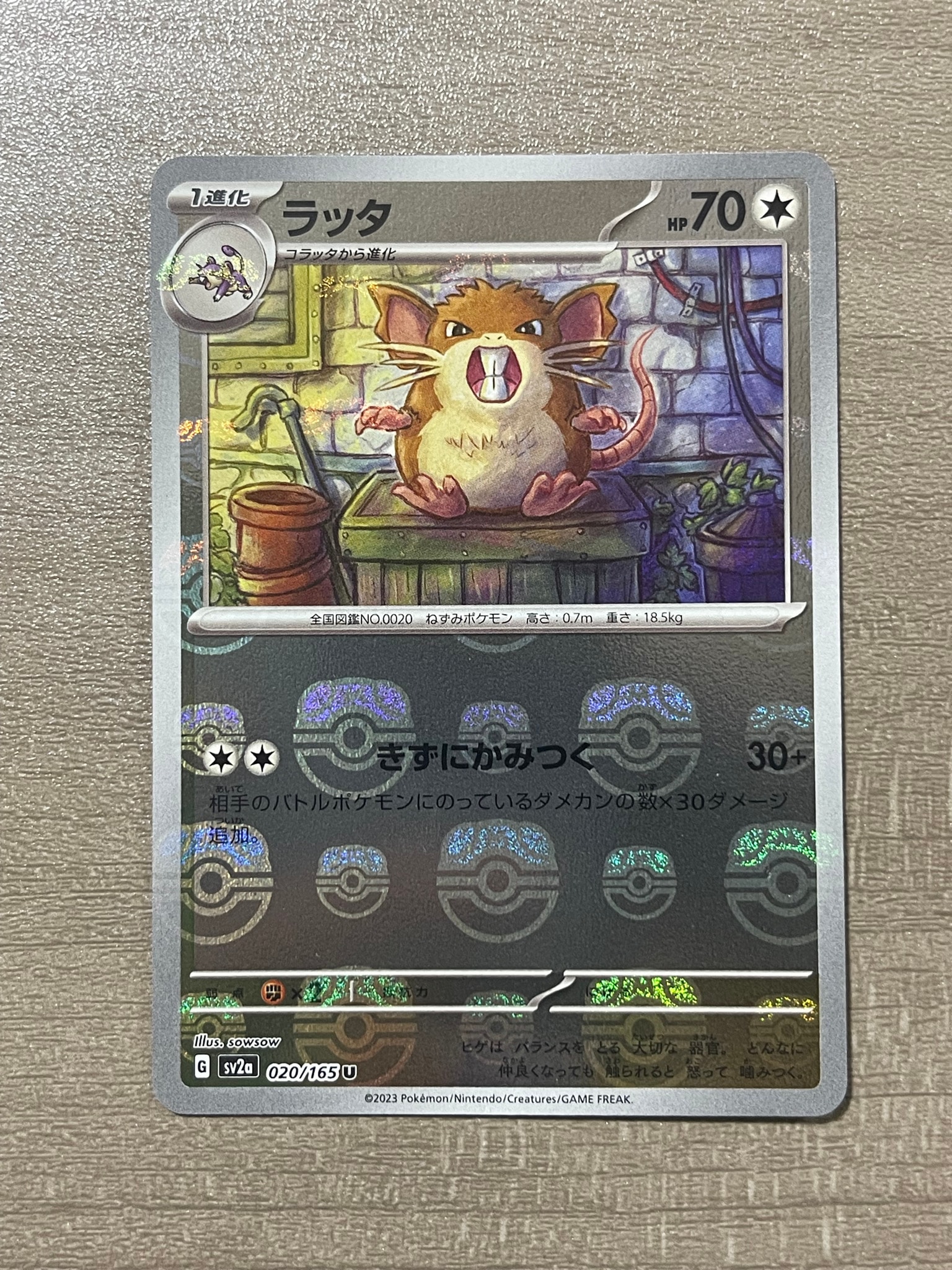ホウオウ ☆ : 旧裏 [neo3 No.250](ポケモンカード☆neo 拡張パック