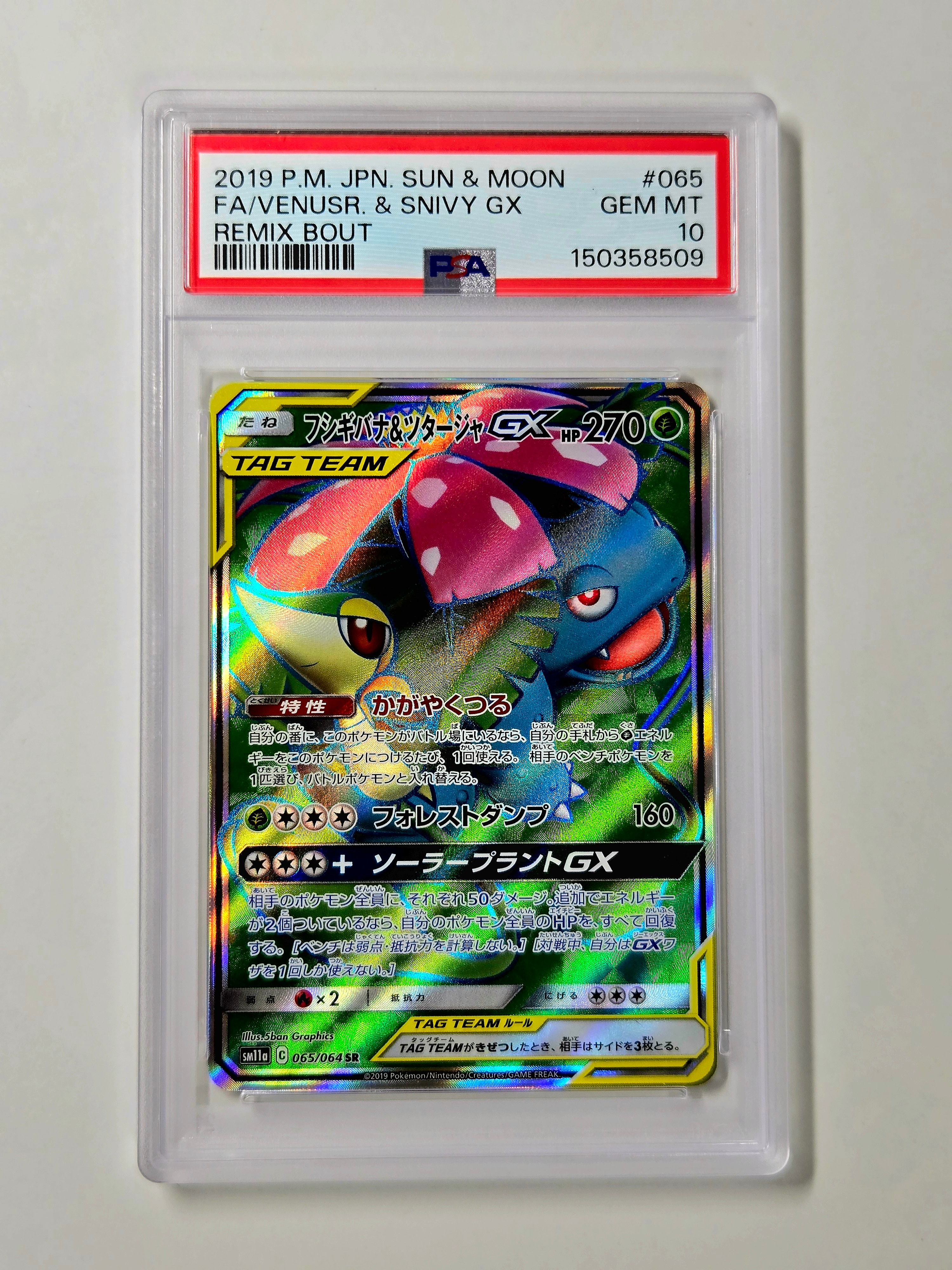PSA10】フシギバナ&ツタージャGX SR: SA[SM11a 066/064](強化拡張