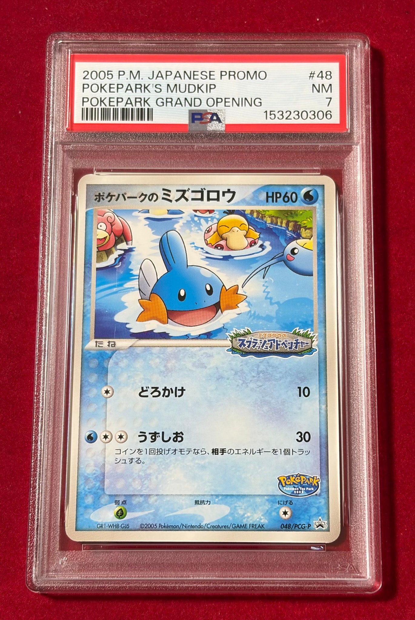 ポケパークのミズゴロウ P [PCG-P 048](プロモーションカード
