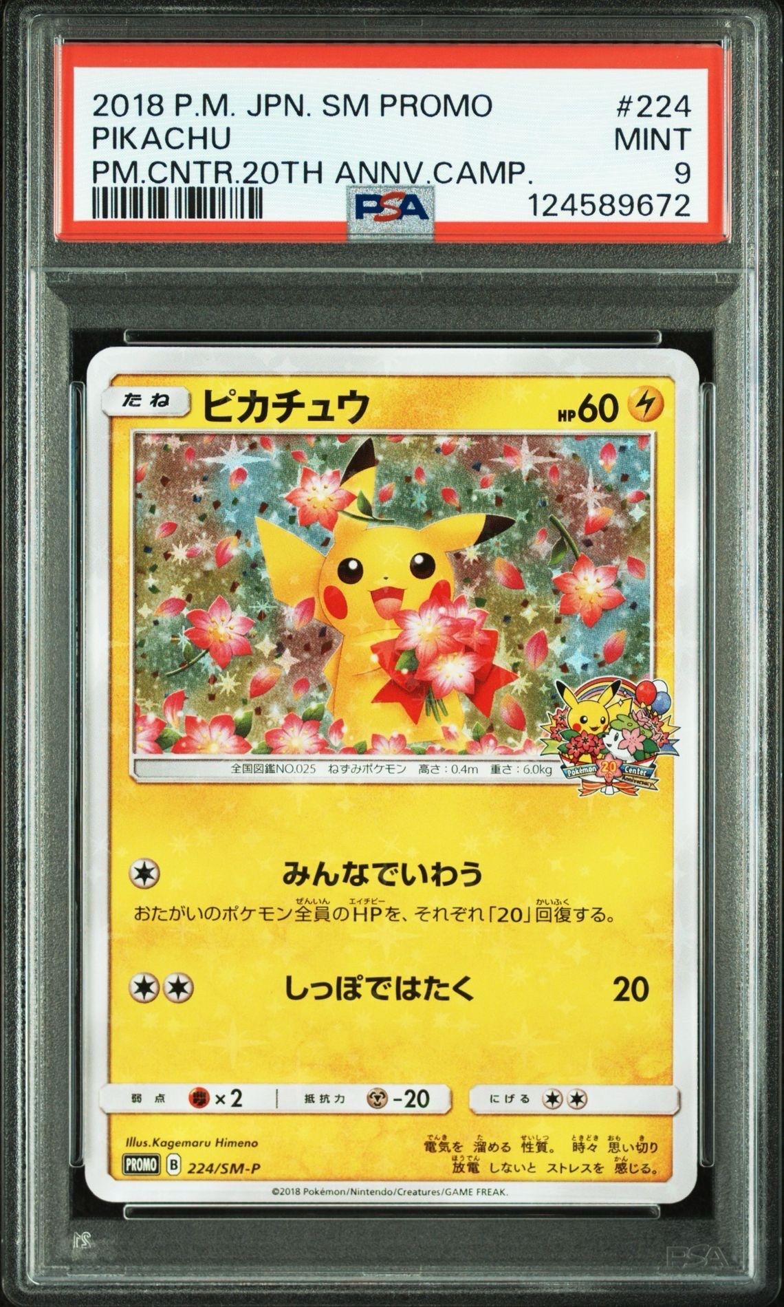 ピカチュウ: プロモ[SM-P 224](プロモーションカード「SM-P」)