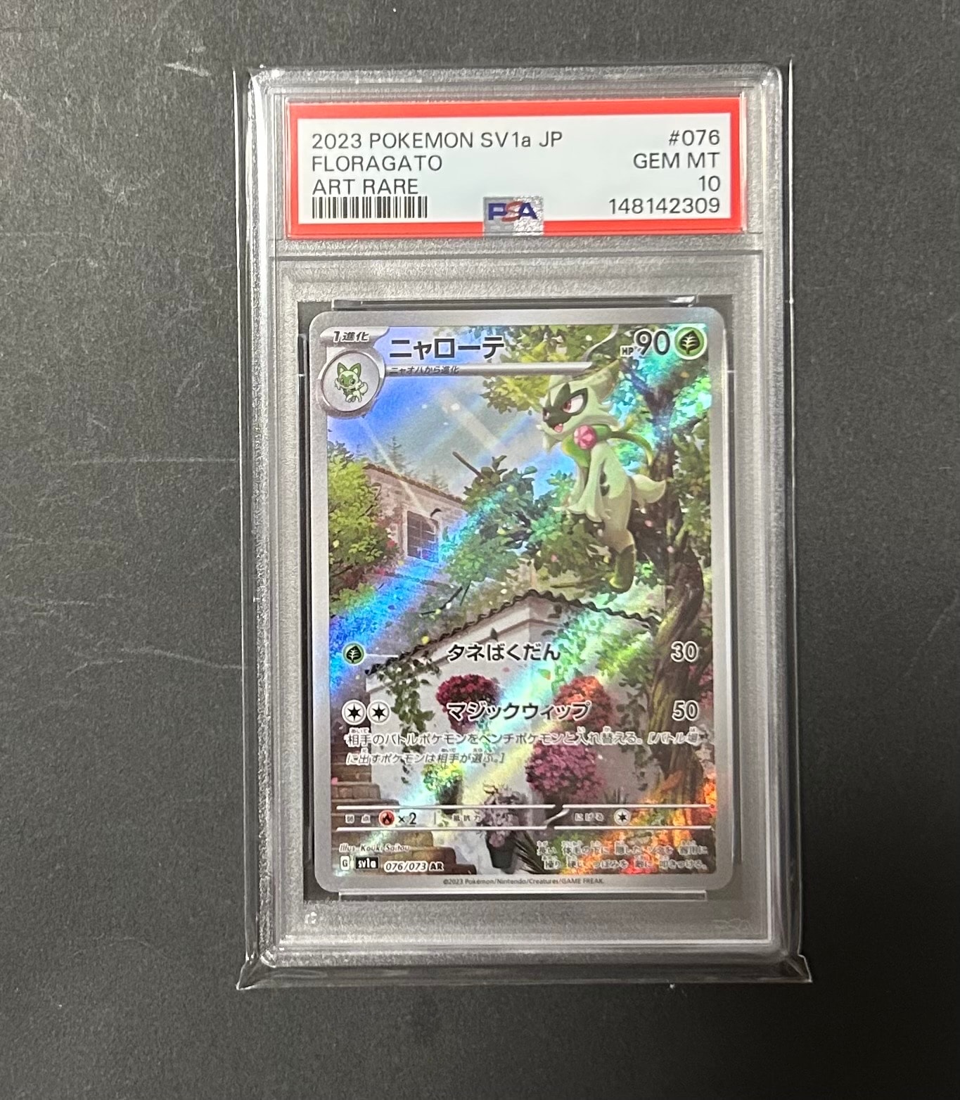 センパイとコウハイ SR :1ED [XY5-G 077/070](拡張パック「ガイア