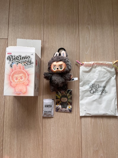 POP MART THE MONSTERS (LABUBU) Big into Energy Series Plush Pendant ID (Secret)