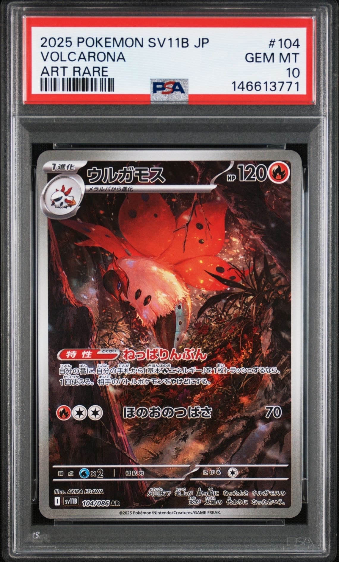 PSA10】ウルガモス AR [SV11B 104/086](拡張パック「ブラックボルト