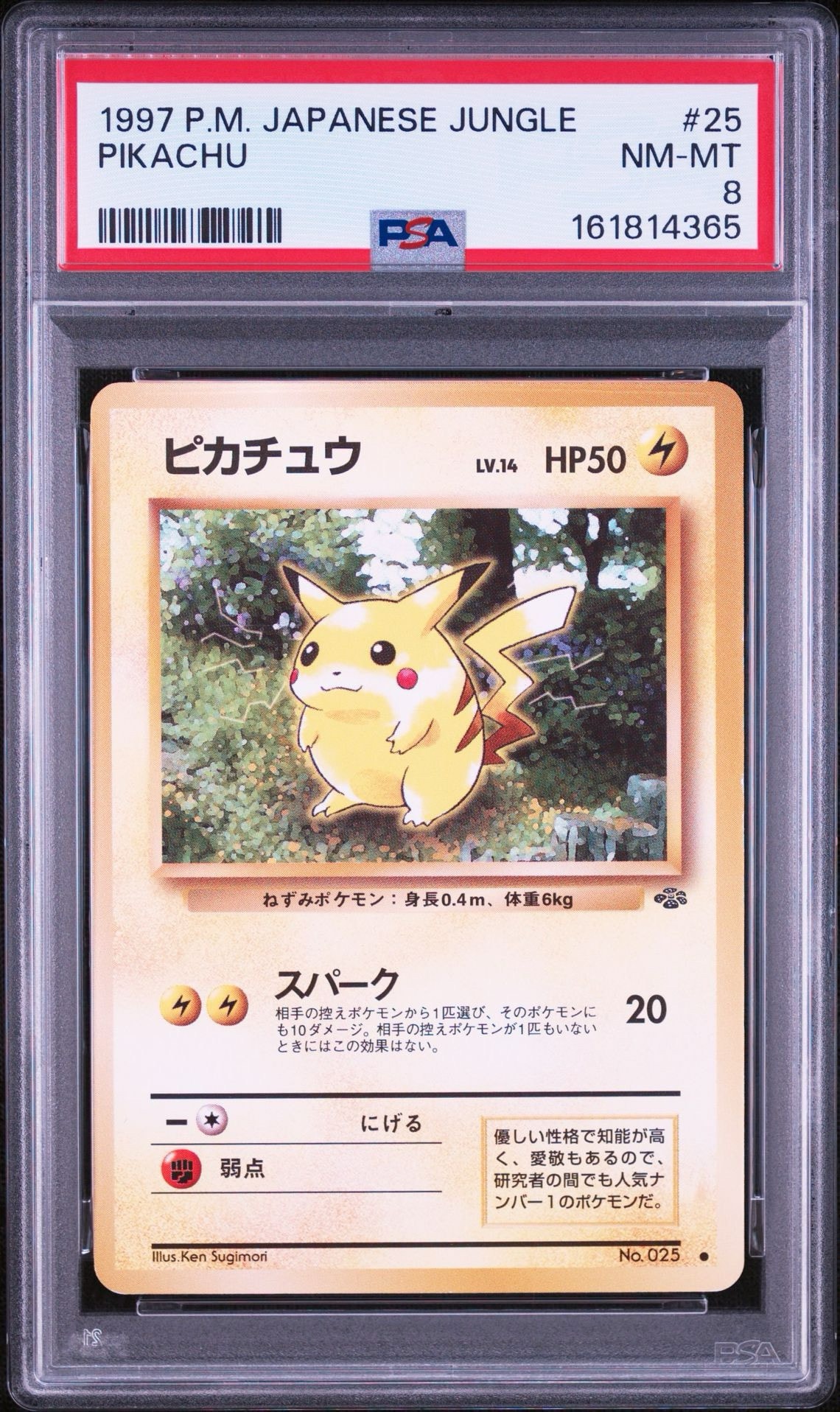 ピカチュウ ○ : 旧裏 [PMCG2 No.025](拡張パック「ポケモンジャングル