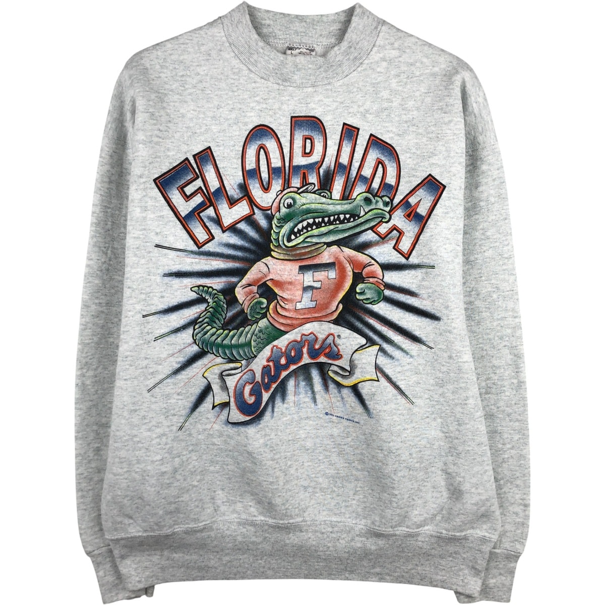 古着 90年代 フルーツオブザルーム FRUIT OF THE LOOM HEAVY cotton ワニ柄 カレッジ キャラクタースウェットシャツ トレーナー USA製 メンズL相当 ヴィンテージ/eaa598197