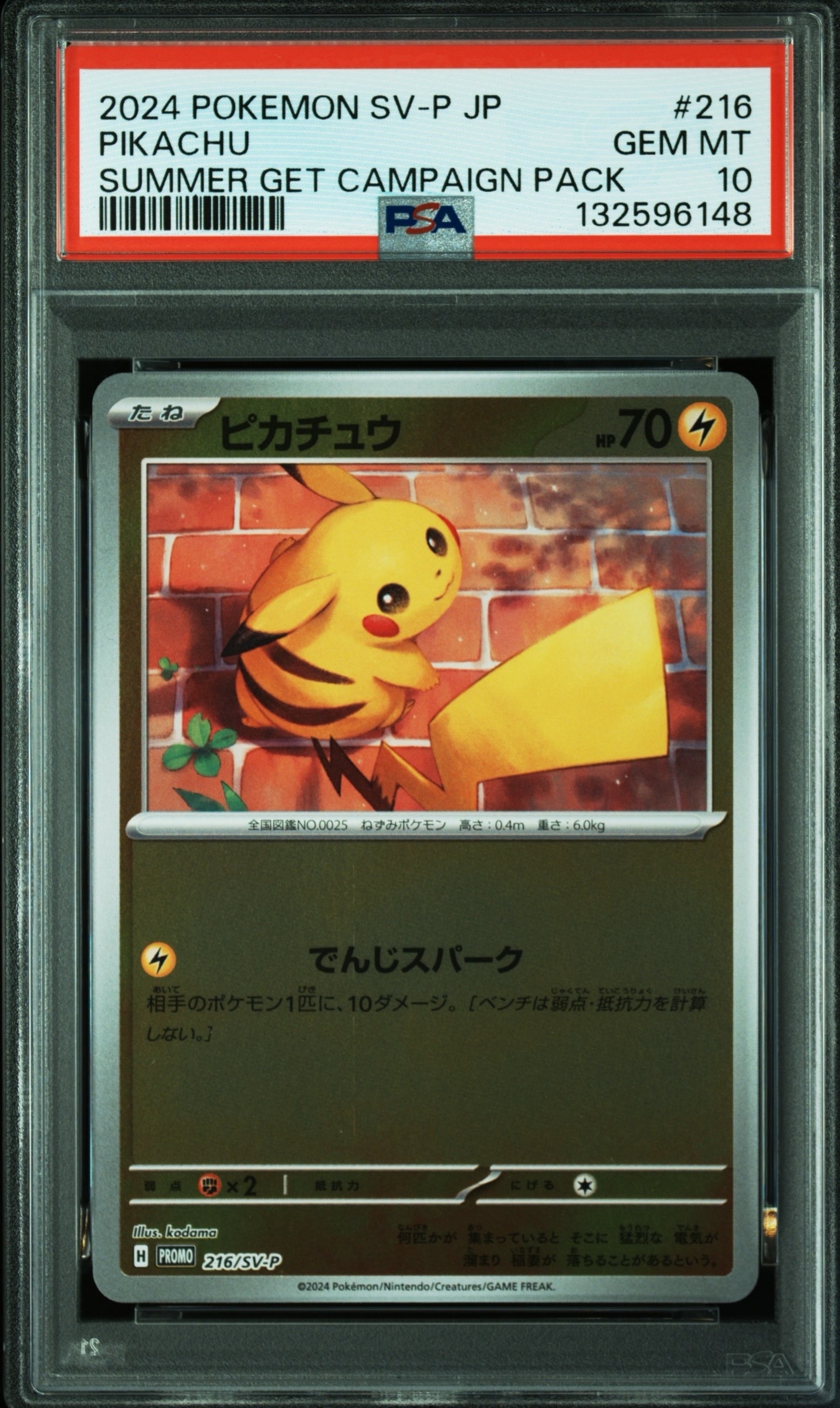 ピカチュウ P [SV-P 216](プロモカードパック「ポケカの夏がキタ!プロモカードGetキャンペーン!」)