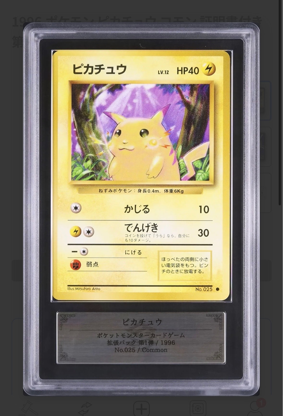 ピカチュウ ● : 旧裏 [PMCG1-2](拡張パック「ポケットモンスター カードゲーム」再販)
