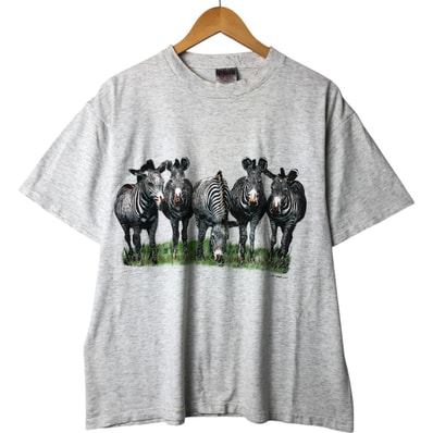 古着 オニータ ONEITA シマウマ柄 アニマルTシャツ USA製 メンズL相当/eaa562115