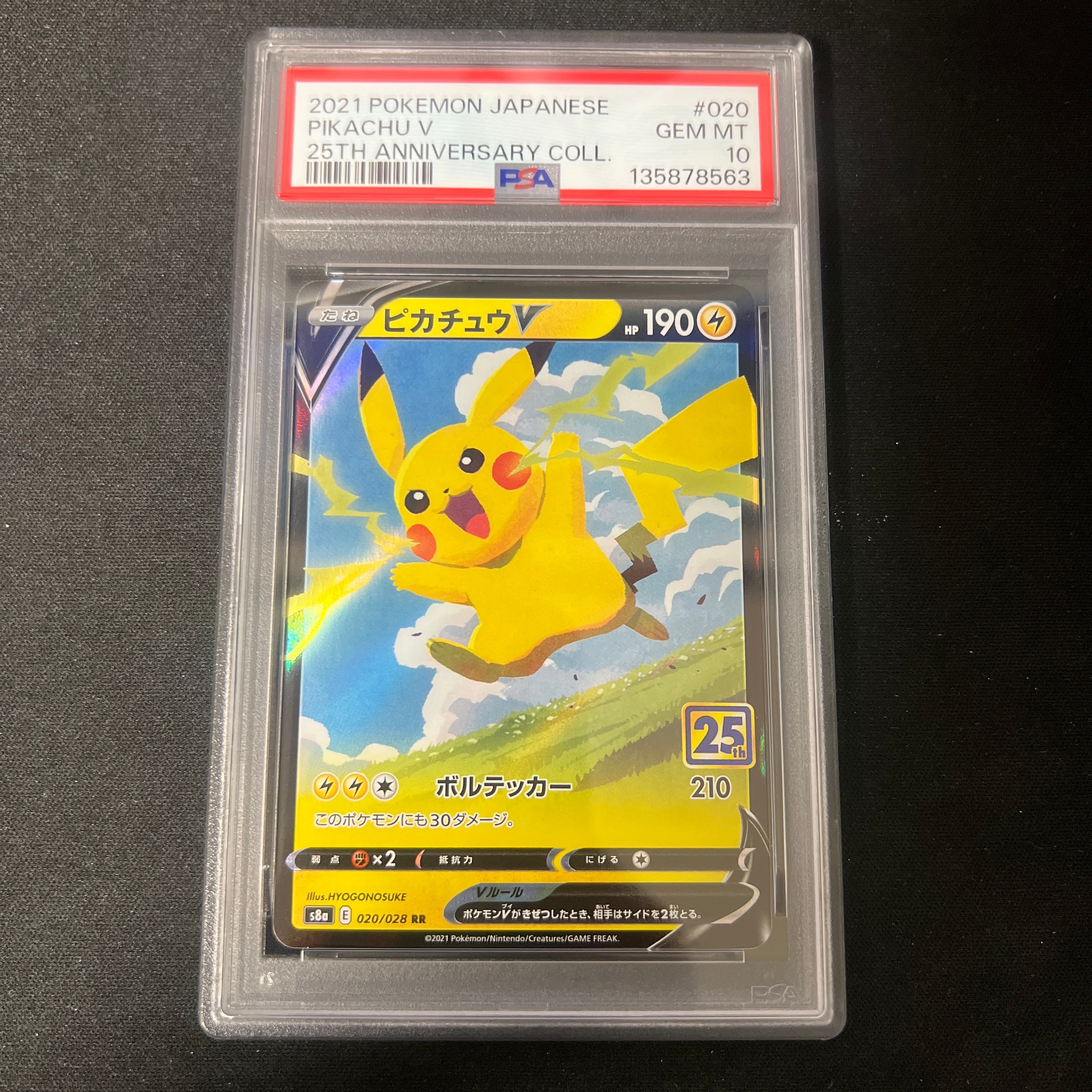 あったかピカチュウ: プロモ[XY-P 097/XY-P](プロモーションカード「XY