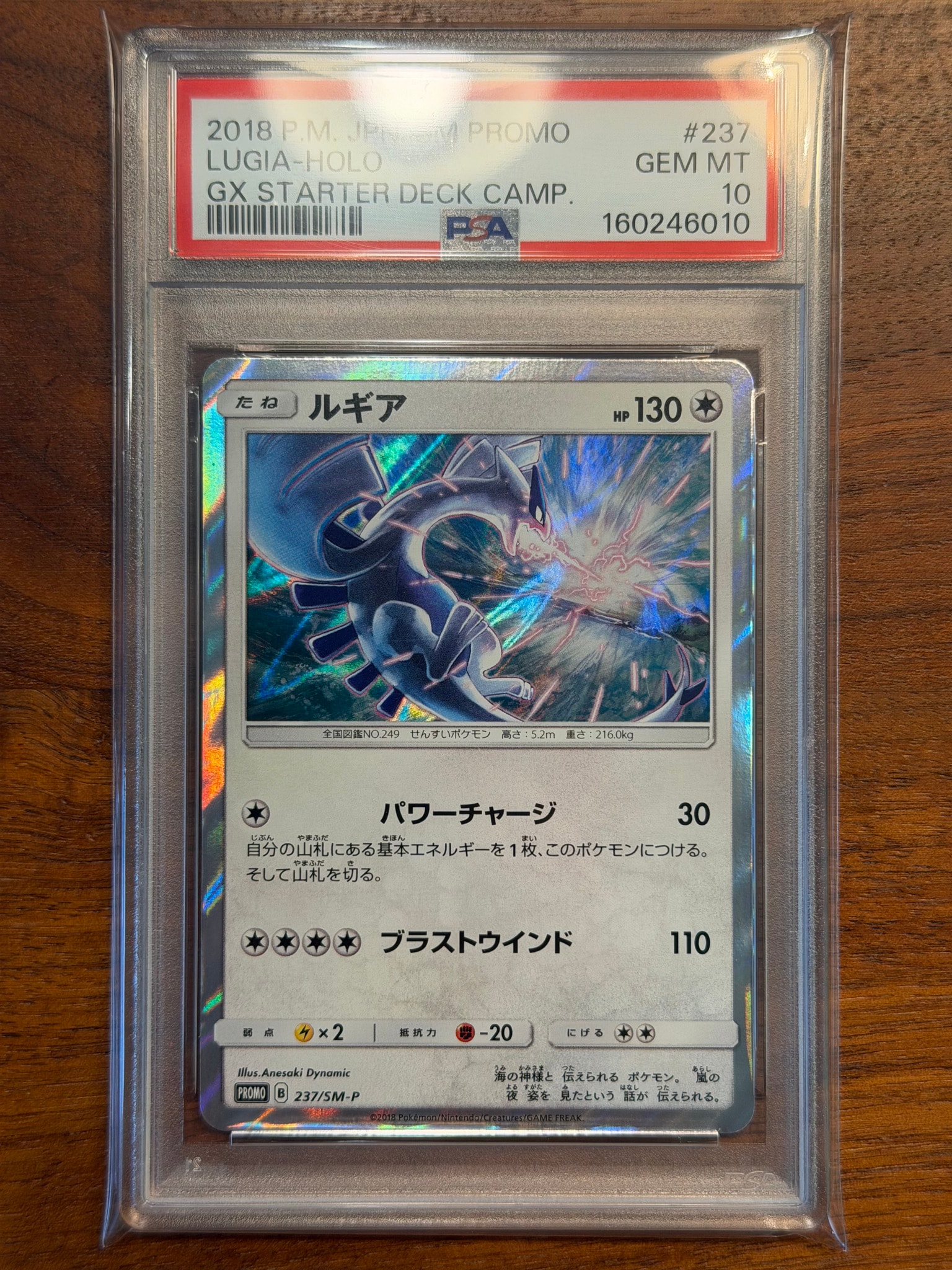 ルギア P [SM-P 237](GXスタートデッキ「Wルギアキャンペーン」)通販