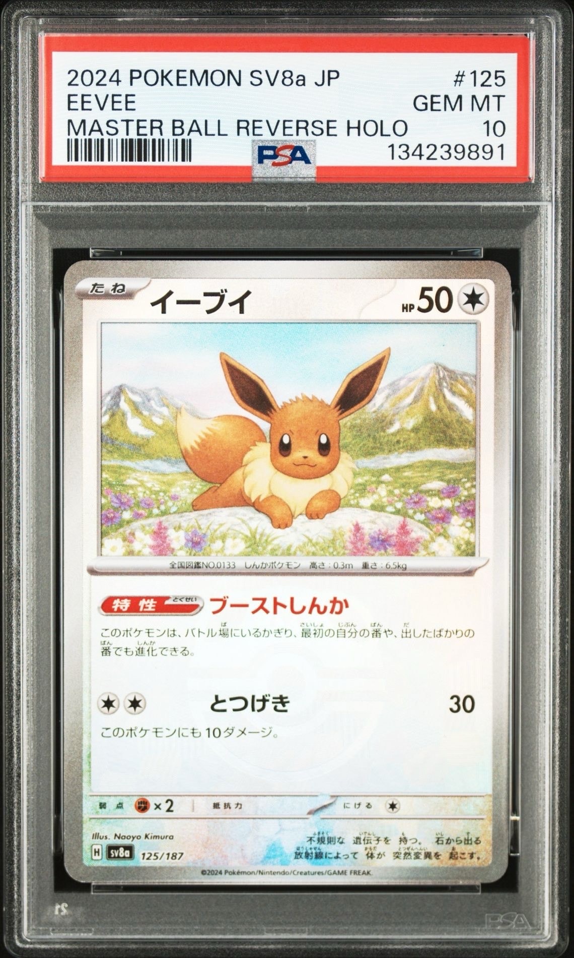 イーブイ :マスターボールミラー [SV8a 125/187](ハイクラスパック「テラスタルフェスex」)