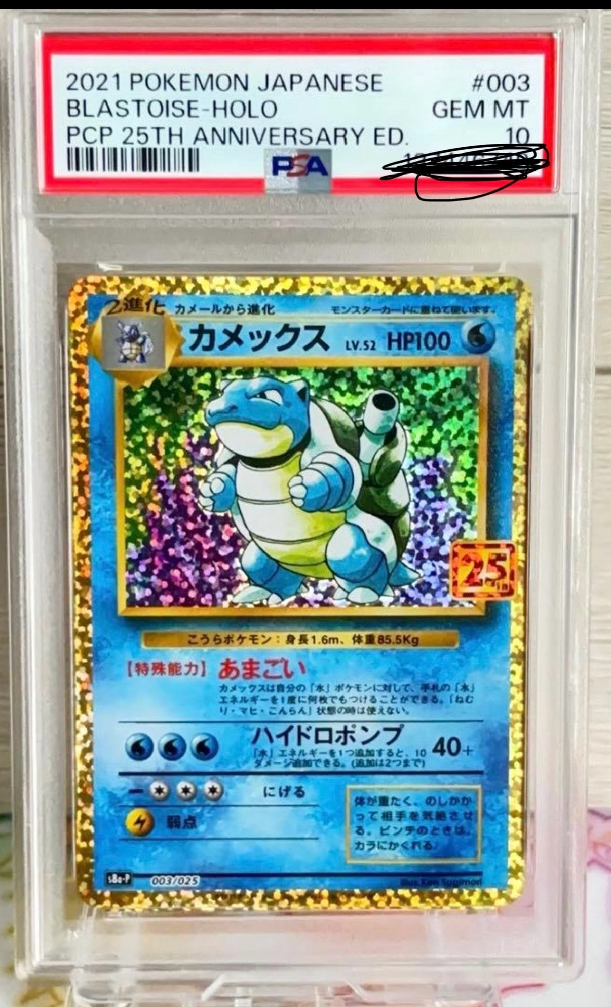 カメックス: プロモ[S8a-P 003/025](プロモカードパック 25th ANNIVERSARY edition)