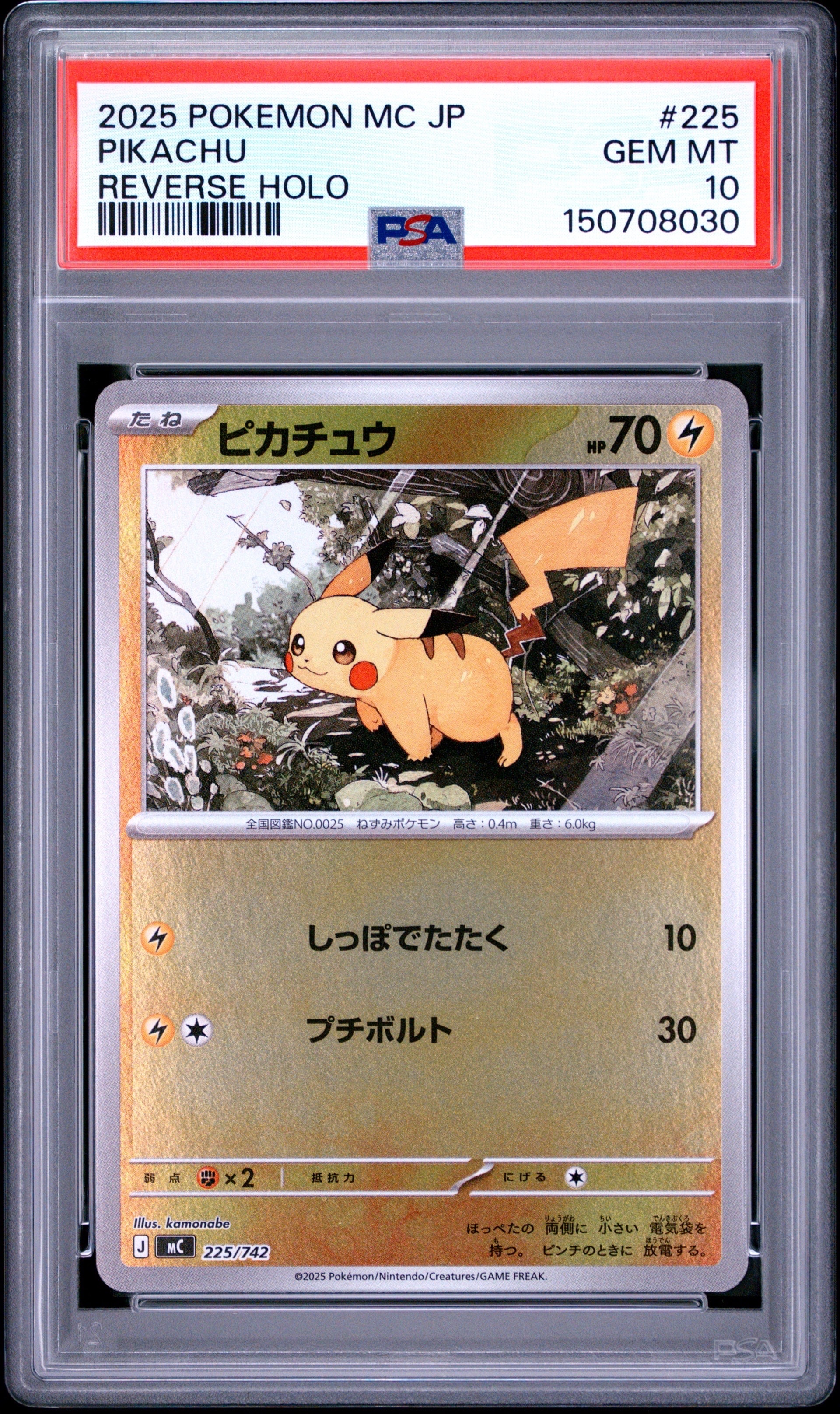 PSA10 ピカチュウex リーリエのピッピex SAR仕様 スタートデッキ リーリエのピッピex SAR仕様 [MC 765/742](スタートデッキ100「バトル