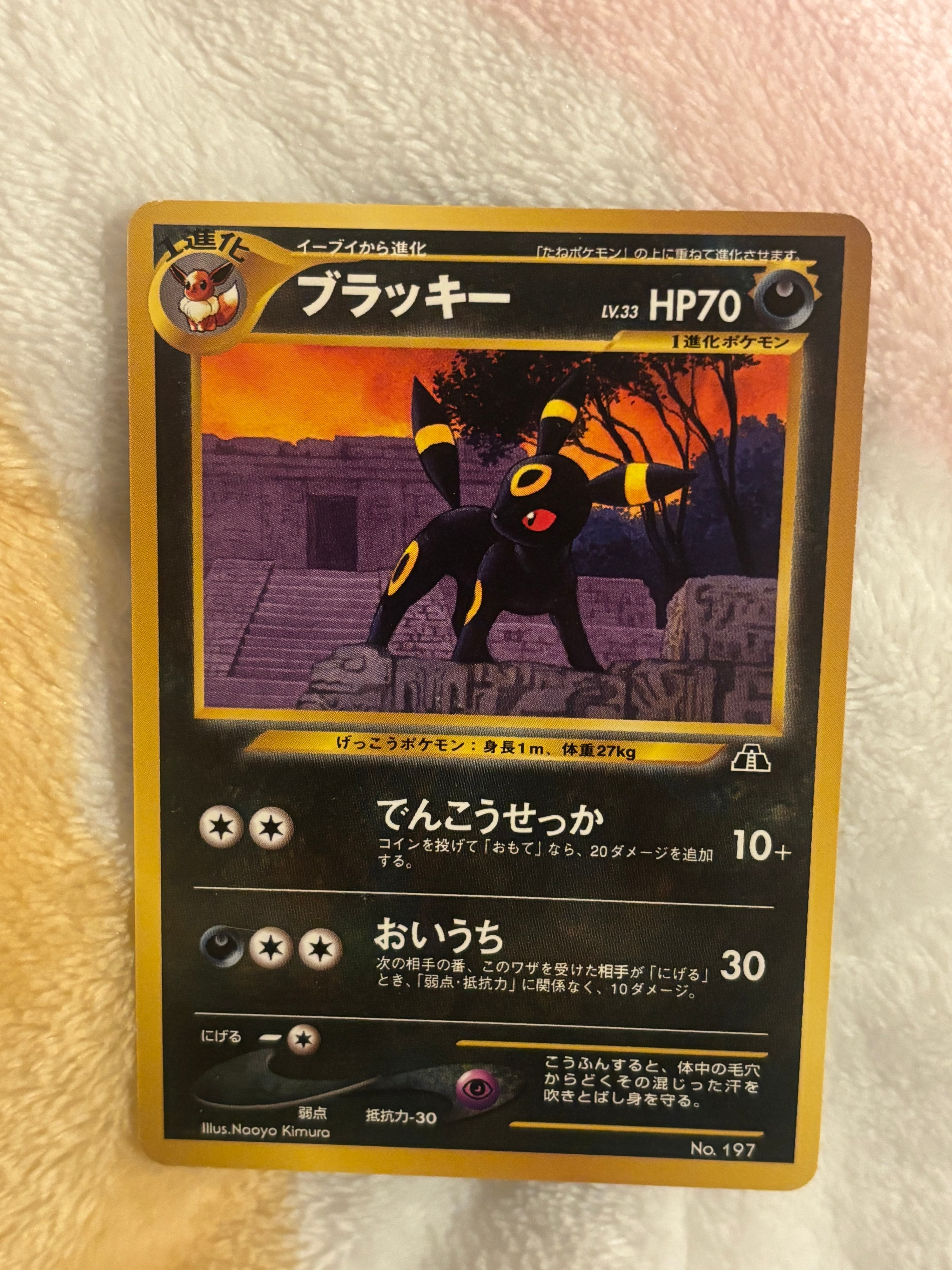 ブラッキープレミアムファイル2: 旧裏[neoP2 No.197](プレミアムファイル2)