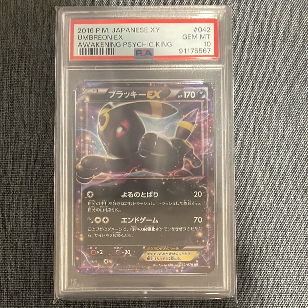 PSA10】ブラッキーEX RR [XY10 042/078](拡張パック「めざめる超王