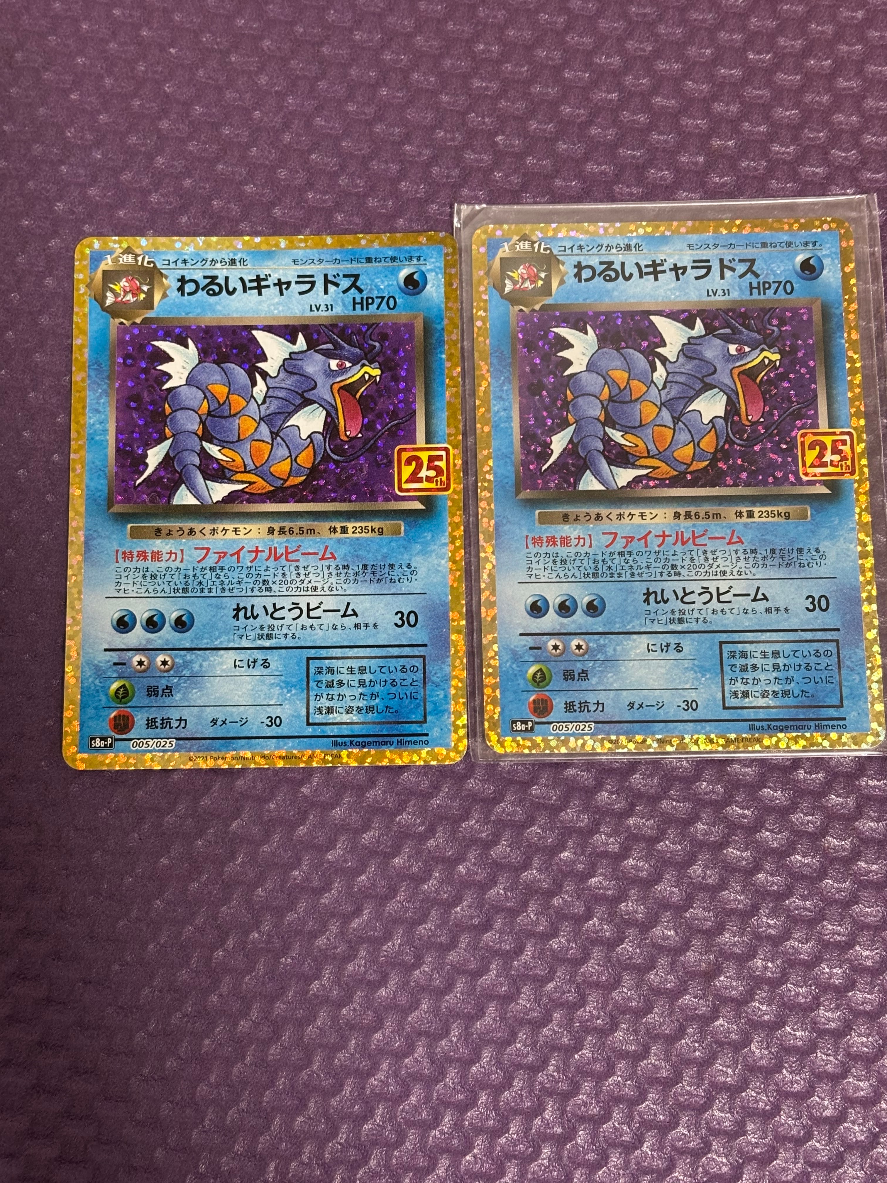 わるいギャラドス: プロモ[S8a-P 005/025](プロモカードパック 25th