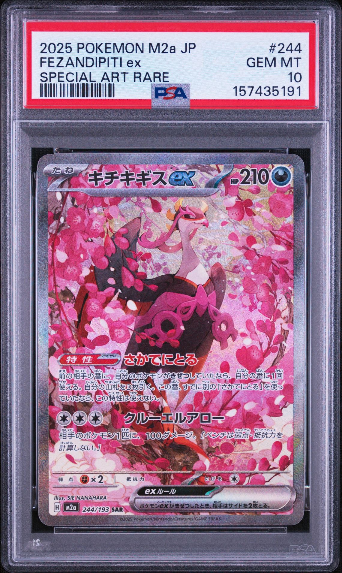 キチキギス ex SAR ARS 10キチキギスex sar ARS 10] Charizard ex SAR