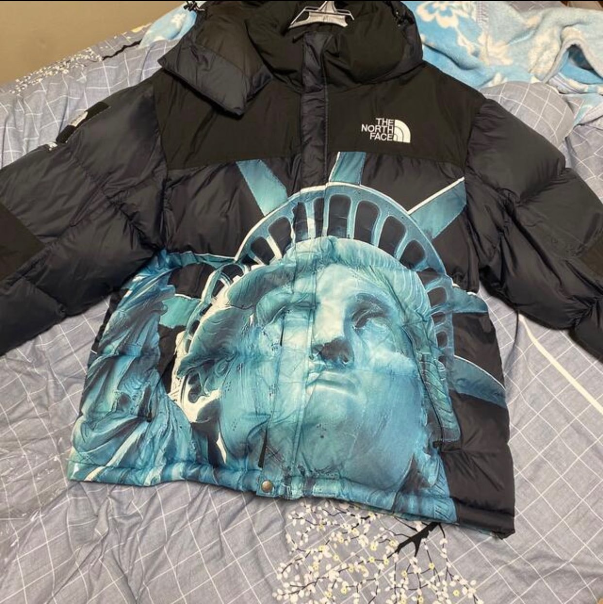 Supreme x The North Face Statue of Liberty Baltoro Jacket "Black"