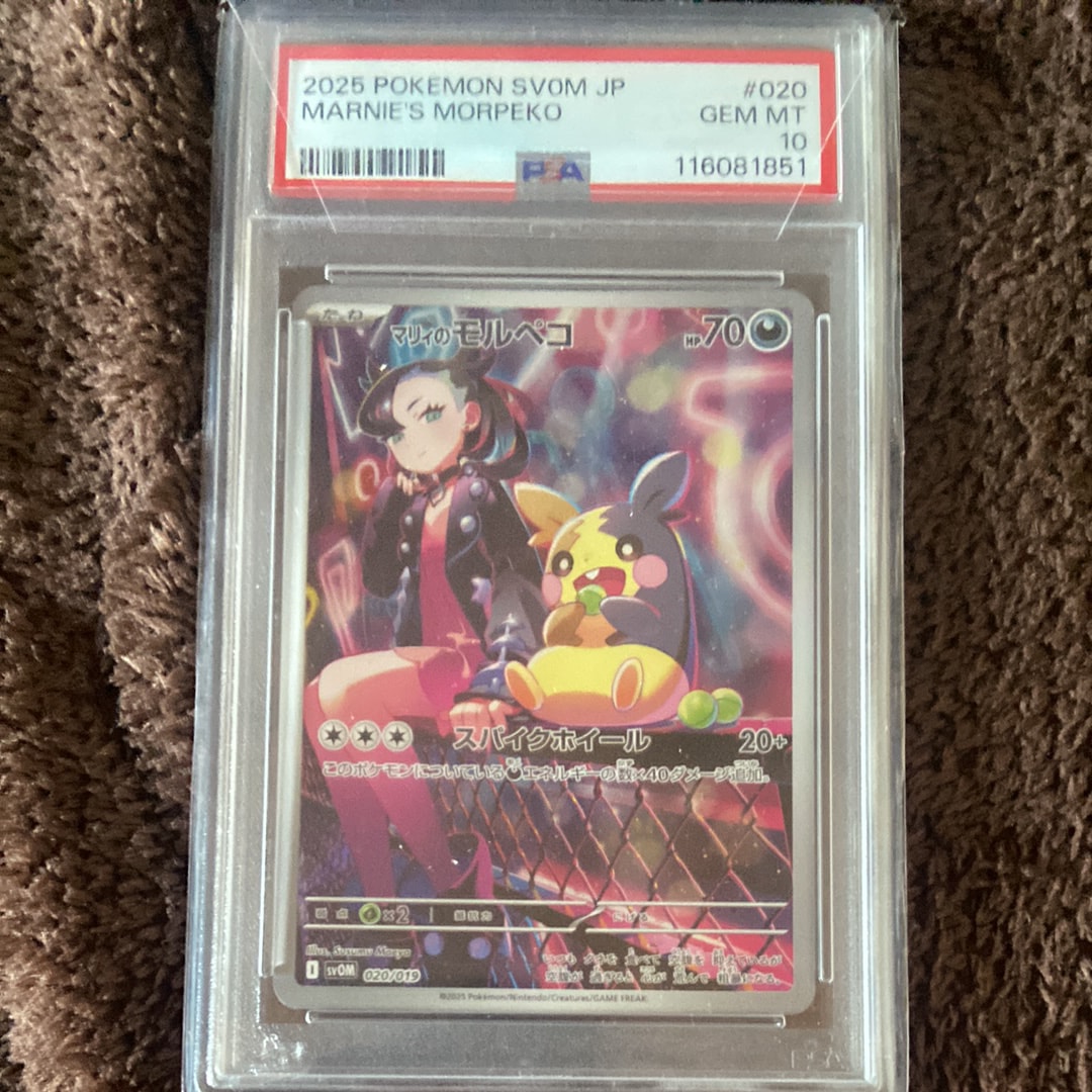 PSA10】マリィのモルペコ [SVOM 020/019](スターターセットex「マリィ