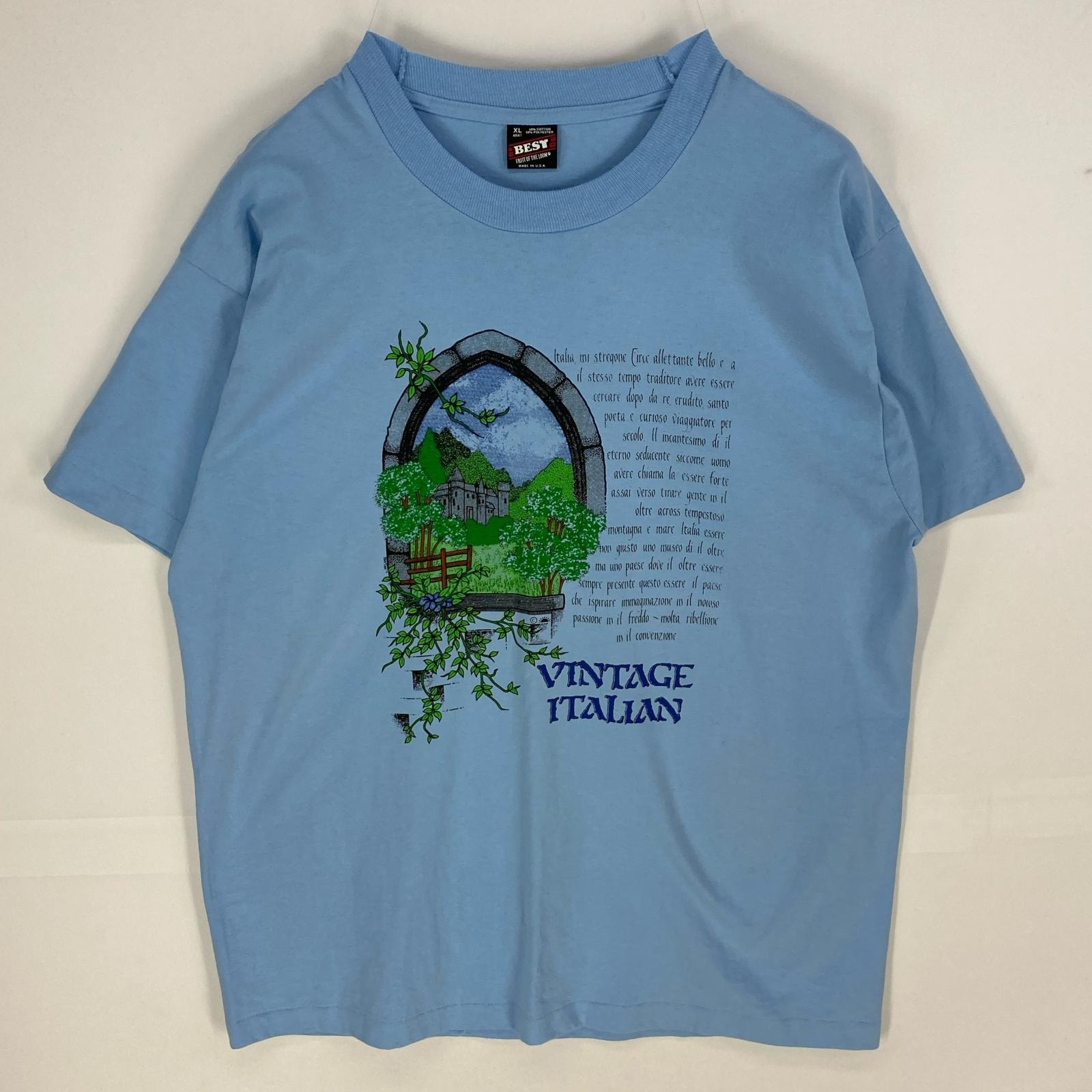 古着 90's/90年代 フルーツオブザルーム FRUIT OF THE LOOM USA製 半袖Tシャツ プリント クルーネック XL ブルー系 プリント メンズ