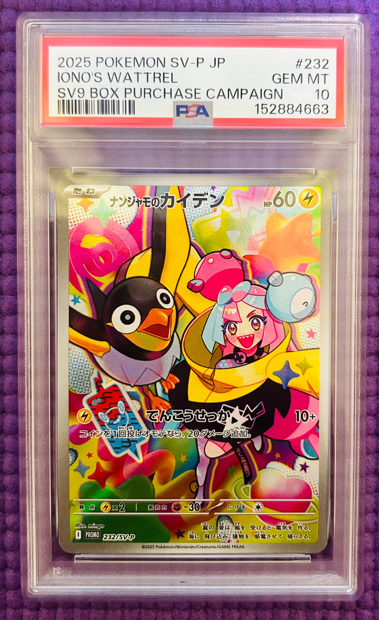 ナンジャモのカイデン P [SV-P 232](プロモーションカード「拡張パック