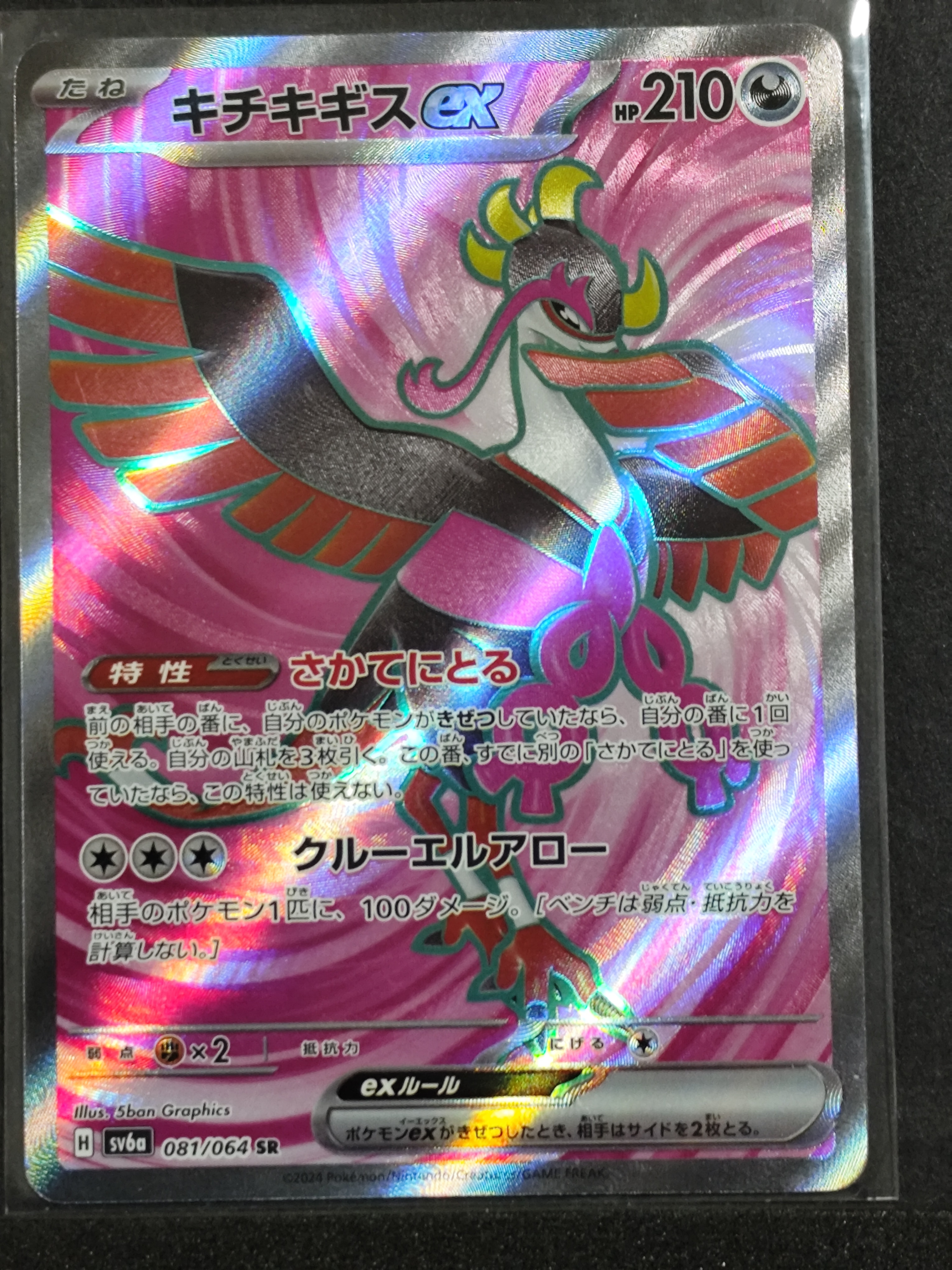 キチキギスex SR [SV6a 081/064](強化拡張パック「ナイトワンダラー