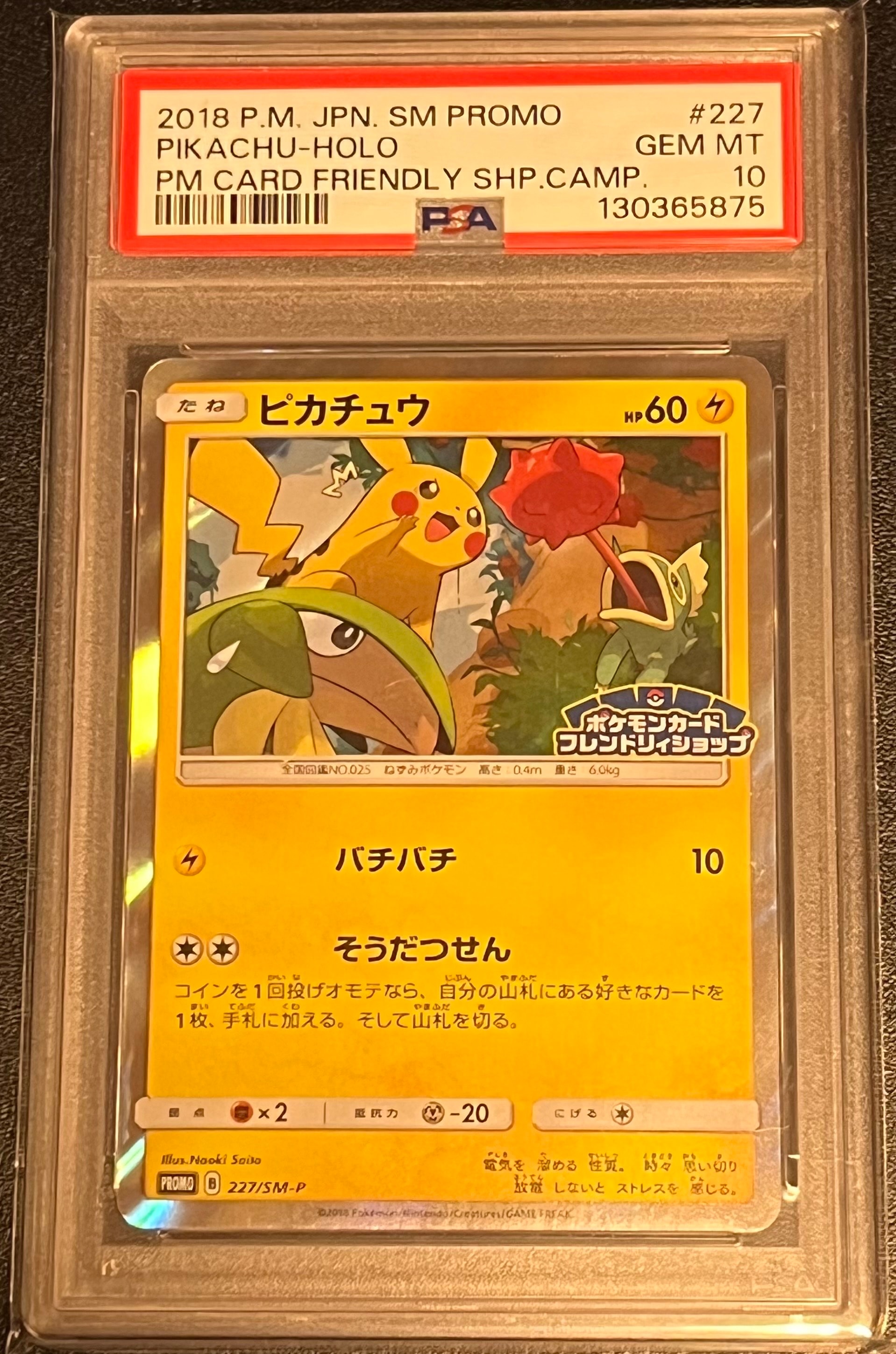 海で遊ぶピカチュウ: プロモ [SM-P 392](プロモーションカード「SM-P