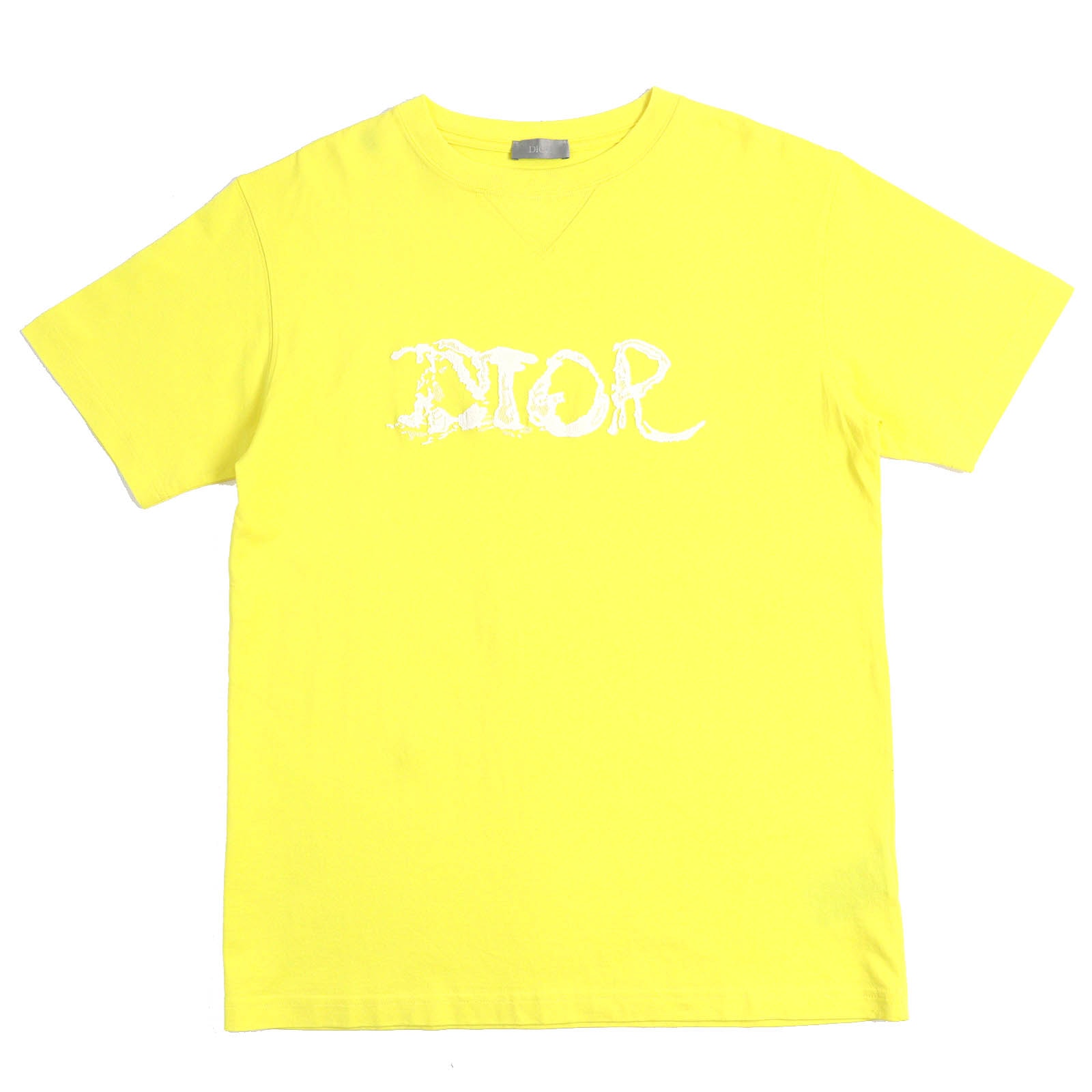 Dior x Peter Doig Men's Oversize T-shirt "Yellow"
