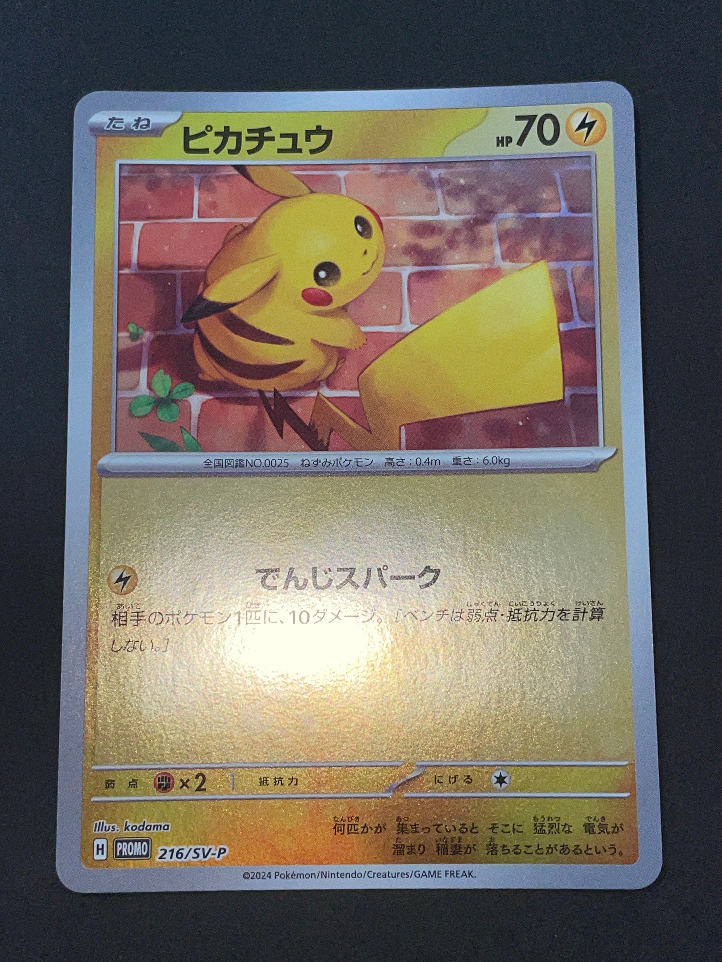 ピカチュウ P [SV-P 216](プロモカードパック「ポケカの夏がキタ!プロモカードGetキャンペーン!」)
