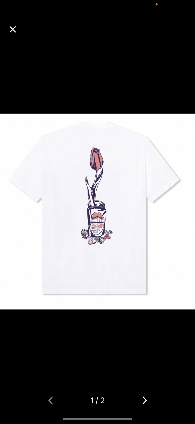 wasted youth verdy tee L coachella