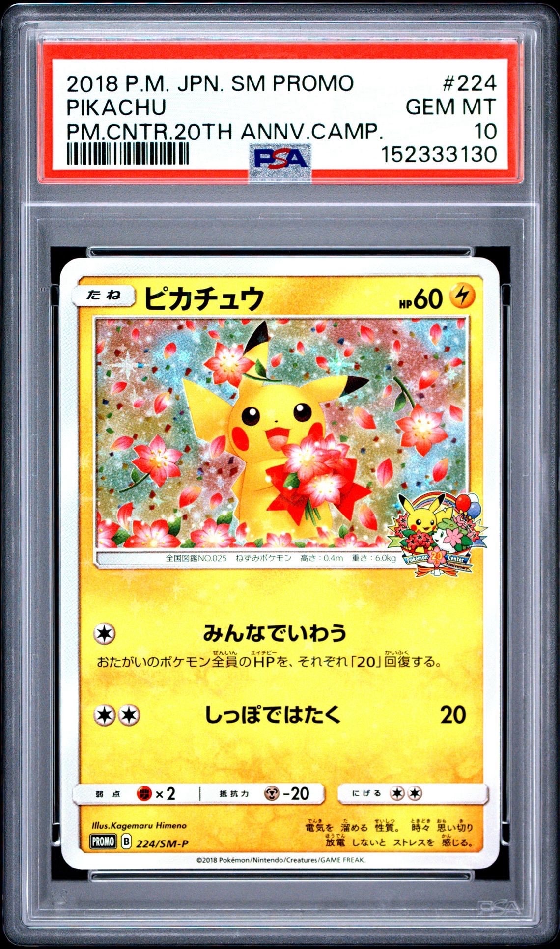 ピカチュウ: プロモ[SM-P 224](プロモーションカード「SM-P」)の新品
