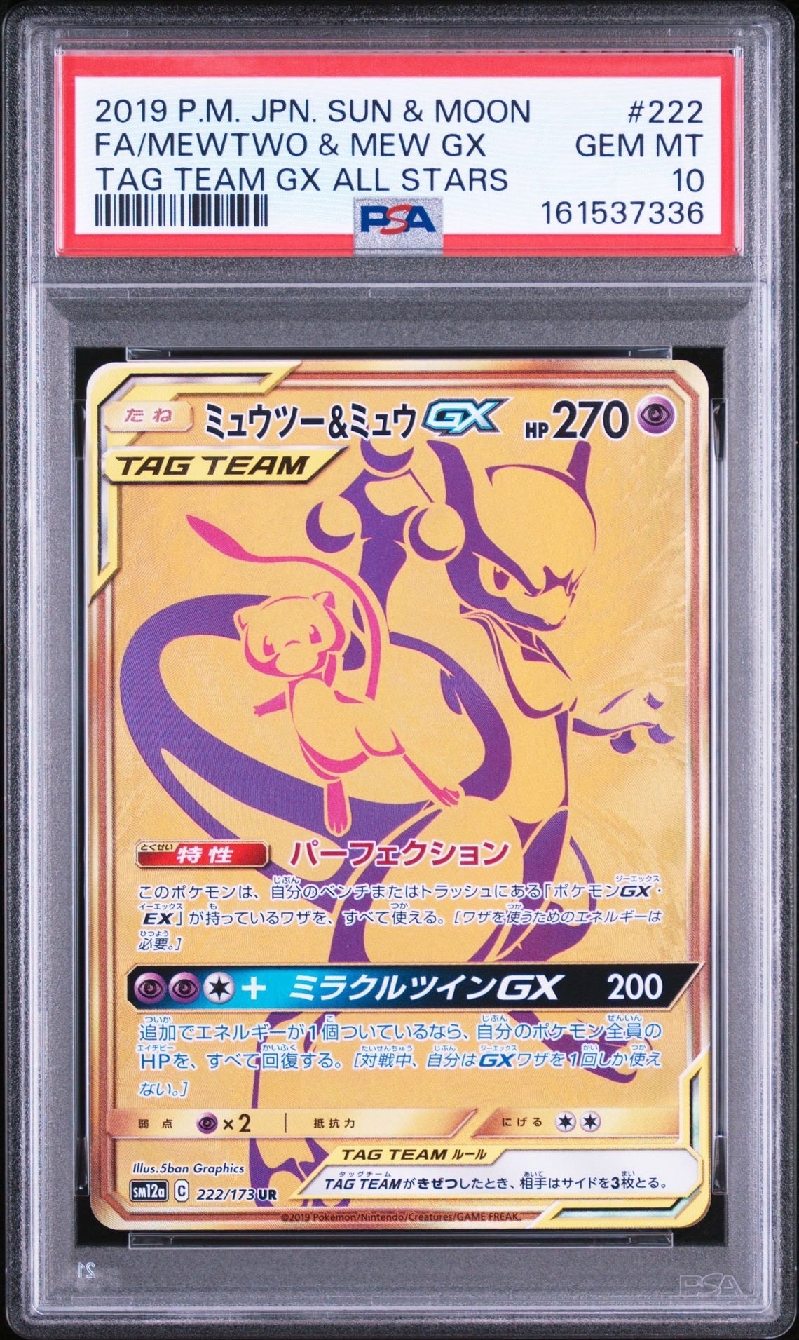 ピカチュウ&ゼクロムGX RR [SM9 031/095](拡張パック「タッグボルト