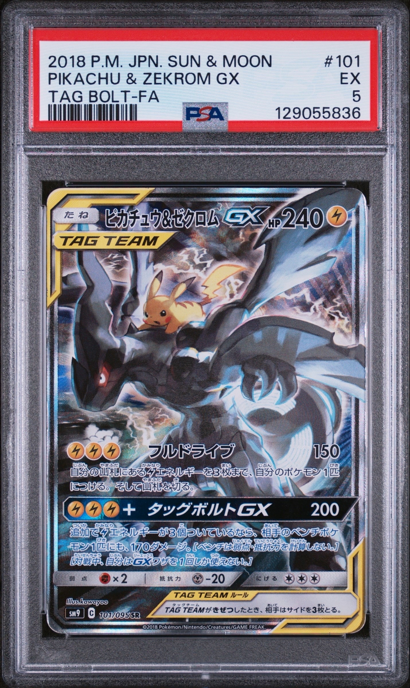 ピカチュウ&ゼクロムGX SR: SA [SM9 101/095](拡張パック「タッグボルト」)