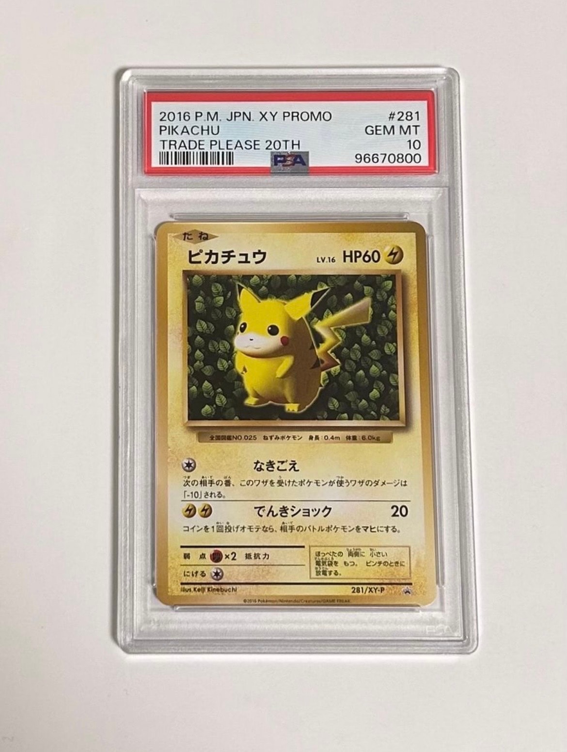 ピカチュウ: プロモ[XY-P 281/XY-P](プロモーションカード「XY-P」)
