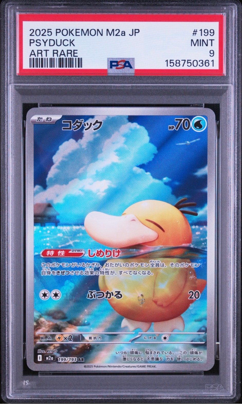 コダック AR [M2a 199/193](ハイクラスパック「MEGAドリームex」)