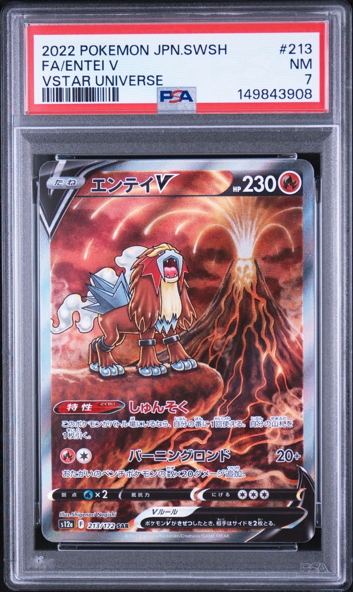 PSA9】エンテイV SAR[s12a 213/172](ハイクラスパック「VSTAR