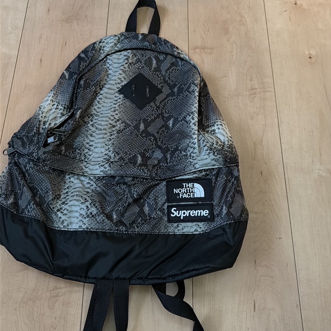 Supreme x The North Face Lightweight Day Pack 