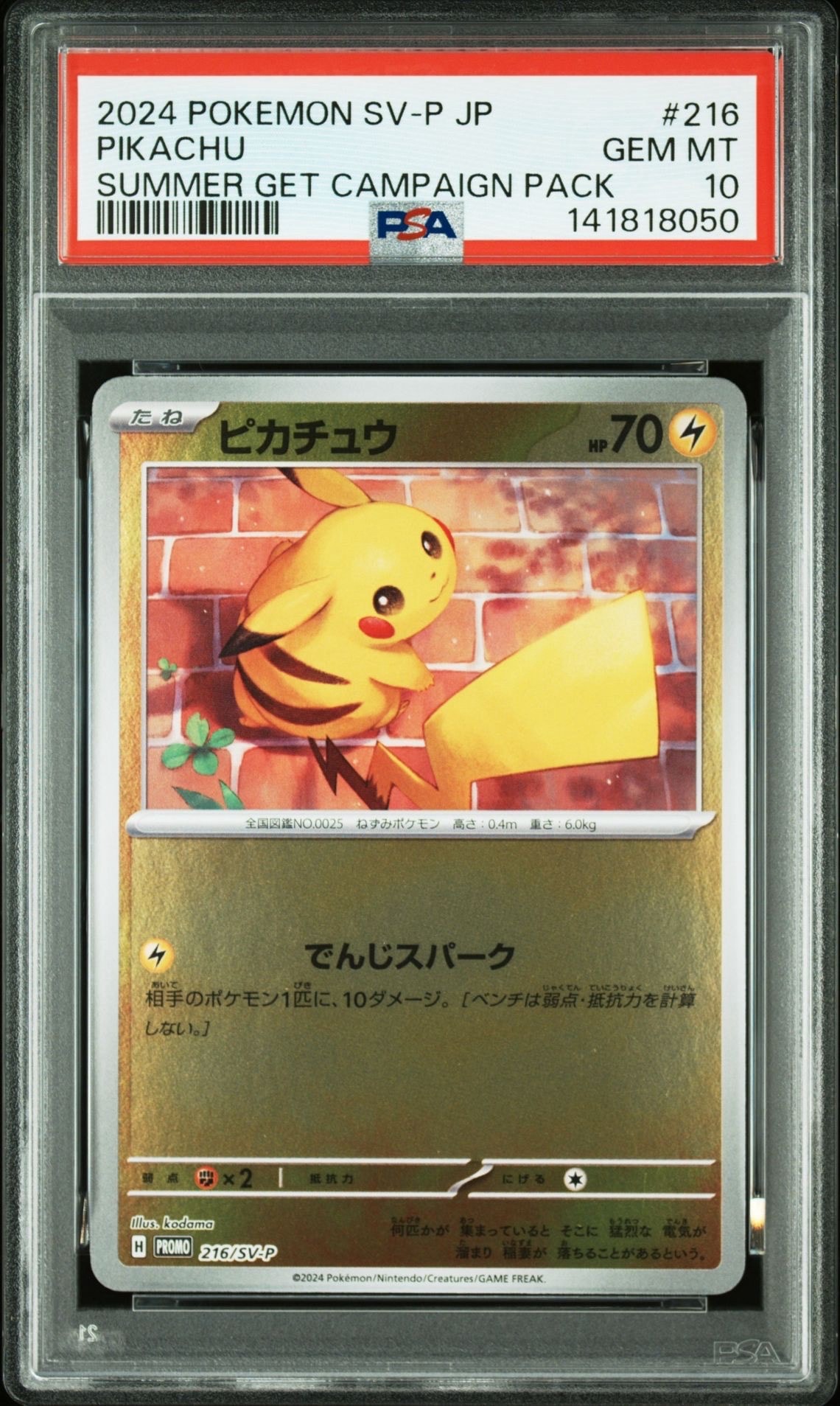ピカチュウ P [SV-P 216](プロモカードパック「ポケカの夏がキタ!プロモカードGetキャンペーン!」)
