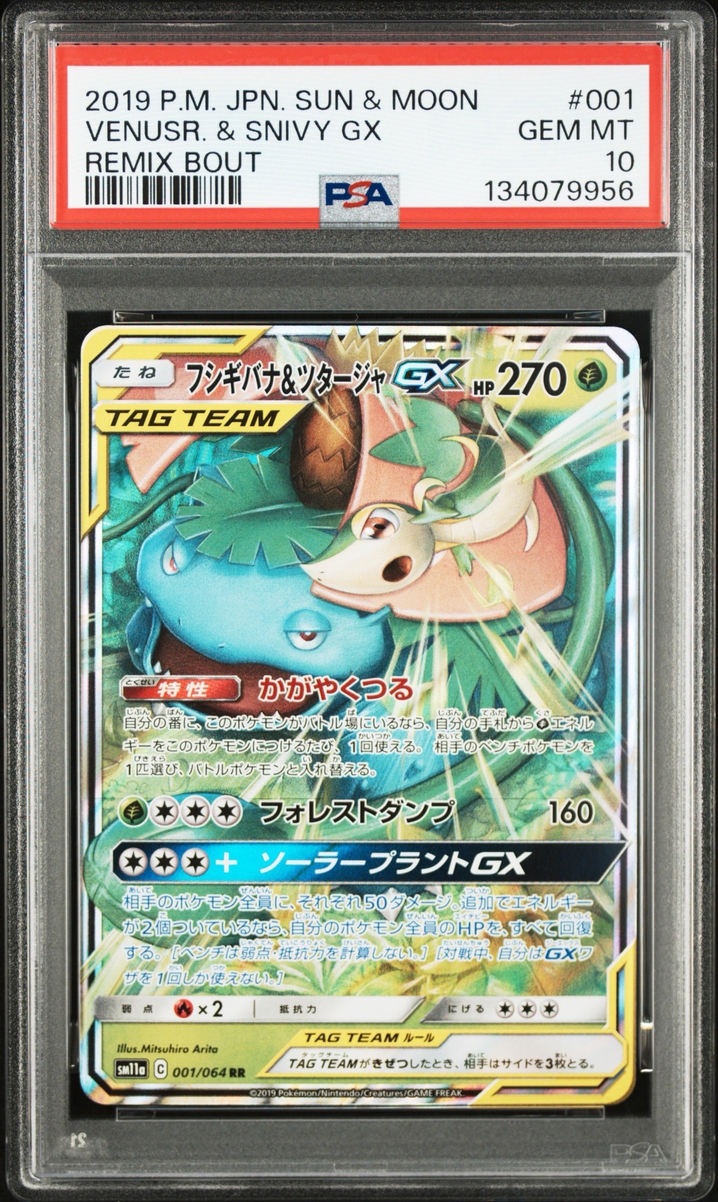 フシギバナ&ツタージャGX RR [SM11a 001/064](強化拡張パック「リミックスバウト」)