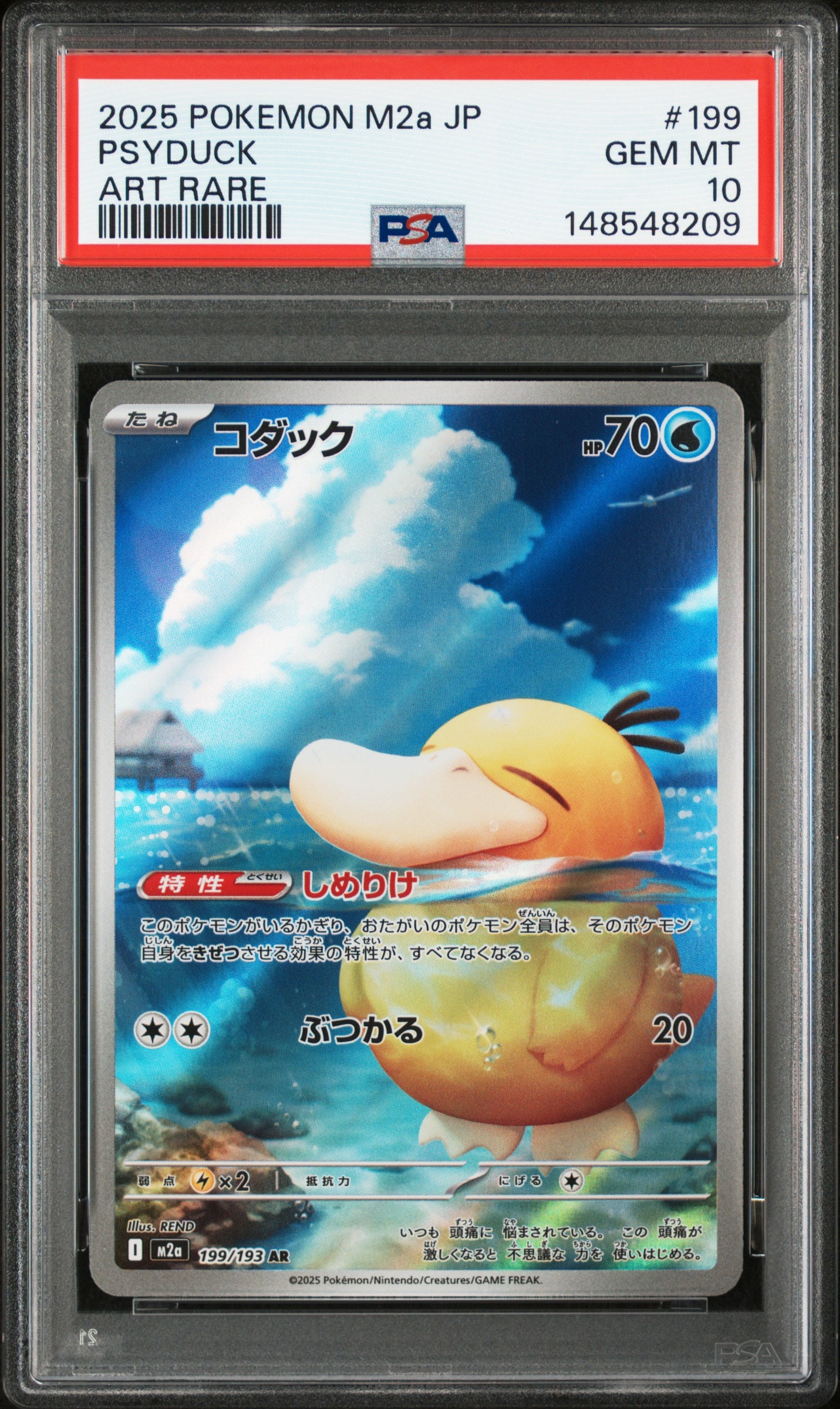 コダック AR [M2a 199/193](ハイクラスパック「MEGAドリームex」)の