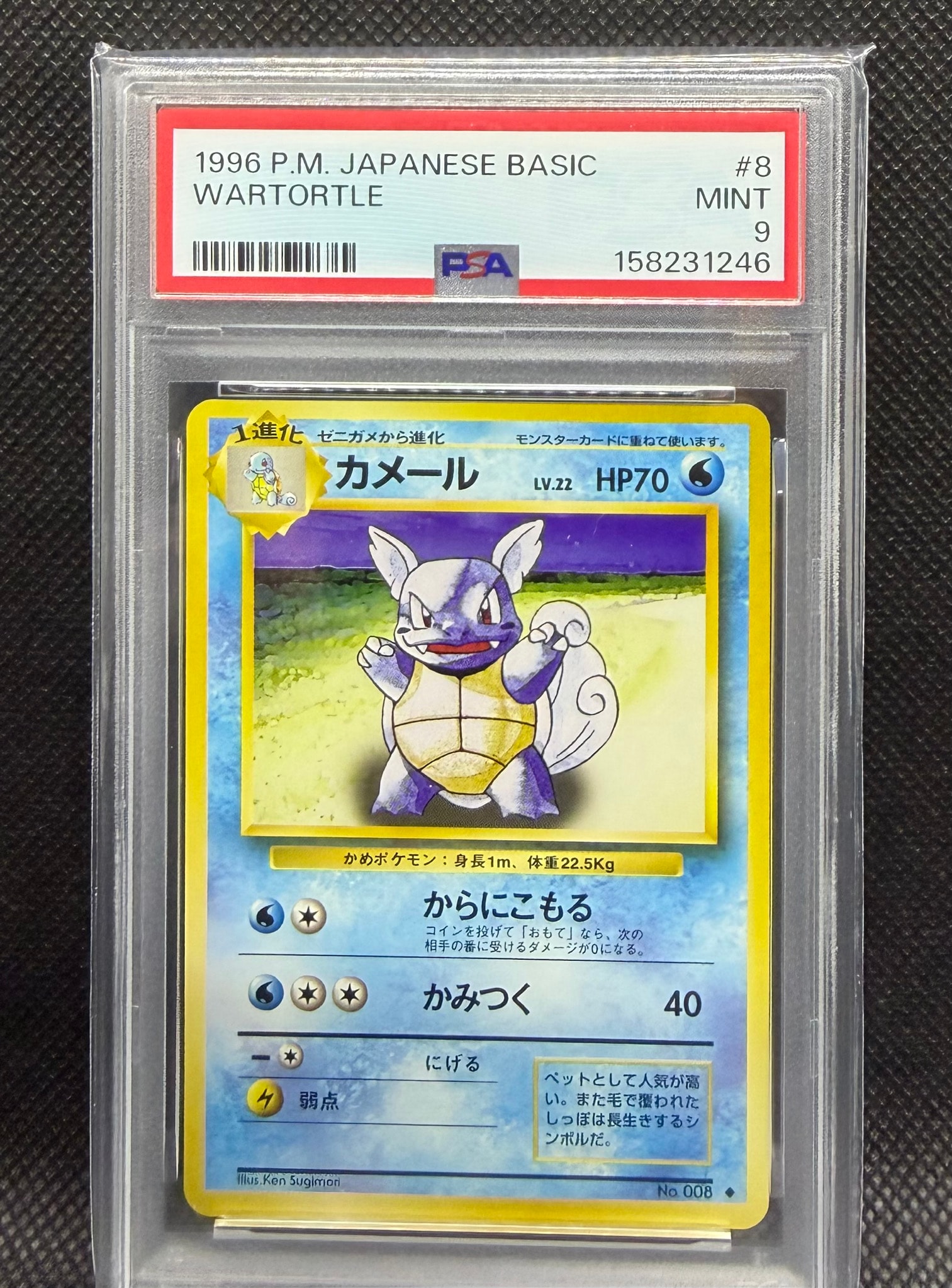PSA9】カメール ◇ : 旧裏 [PMCG1-2](拡張パック「ポケットモンスター