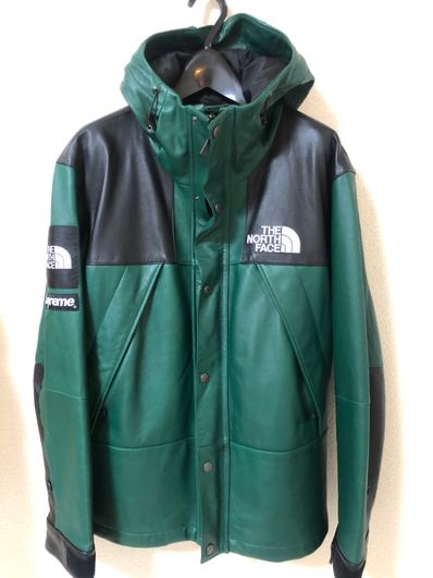 Supreme x The North Face Leather Mountain Parka "Green"
