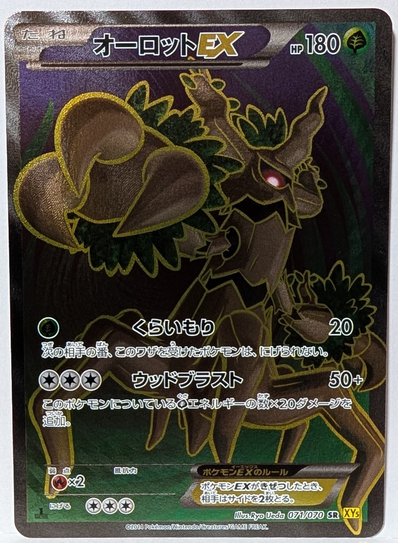 PSA10/1ED オーロットEX SR XY5 071/070 2014 オーロットEX SR :1ED [XY5 071/070](拡張パック「ガイアボルケーノ